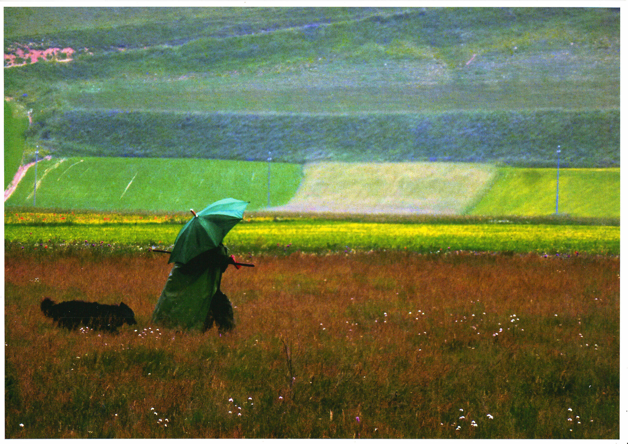 with the dog and with the rain