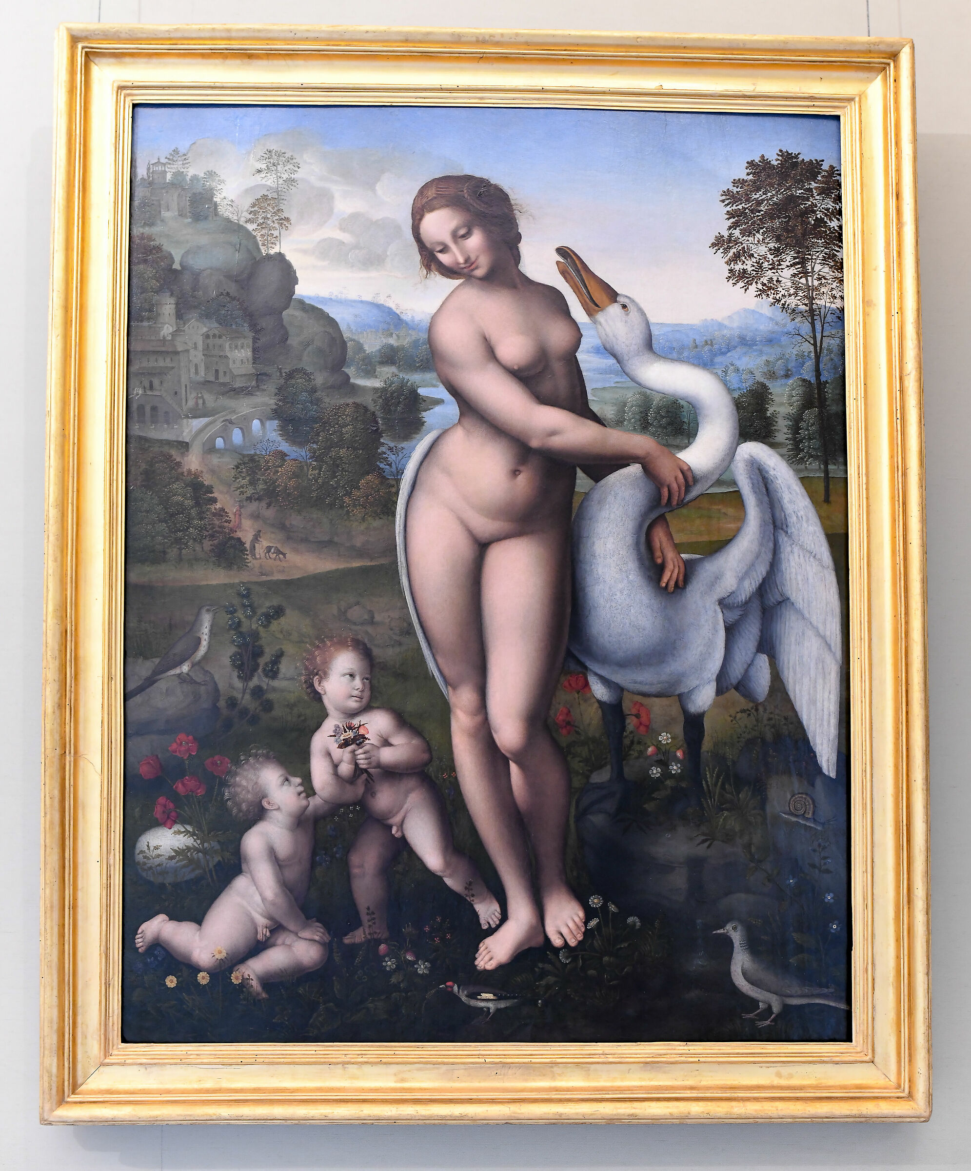 Borghese-Leda Gallery and the Swan