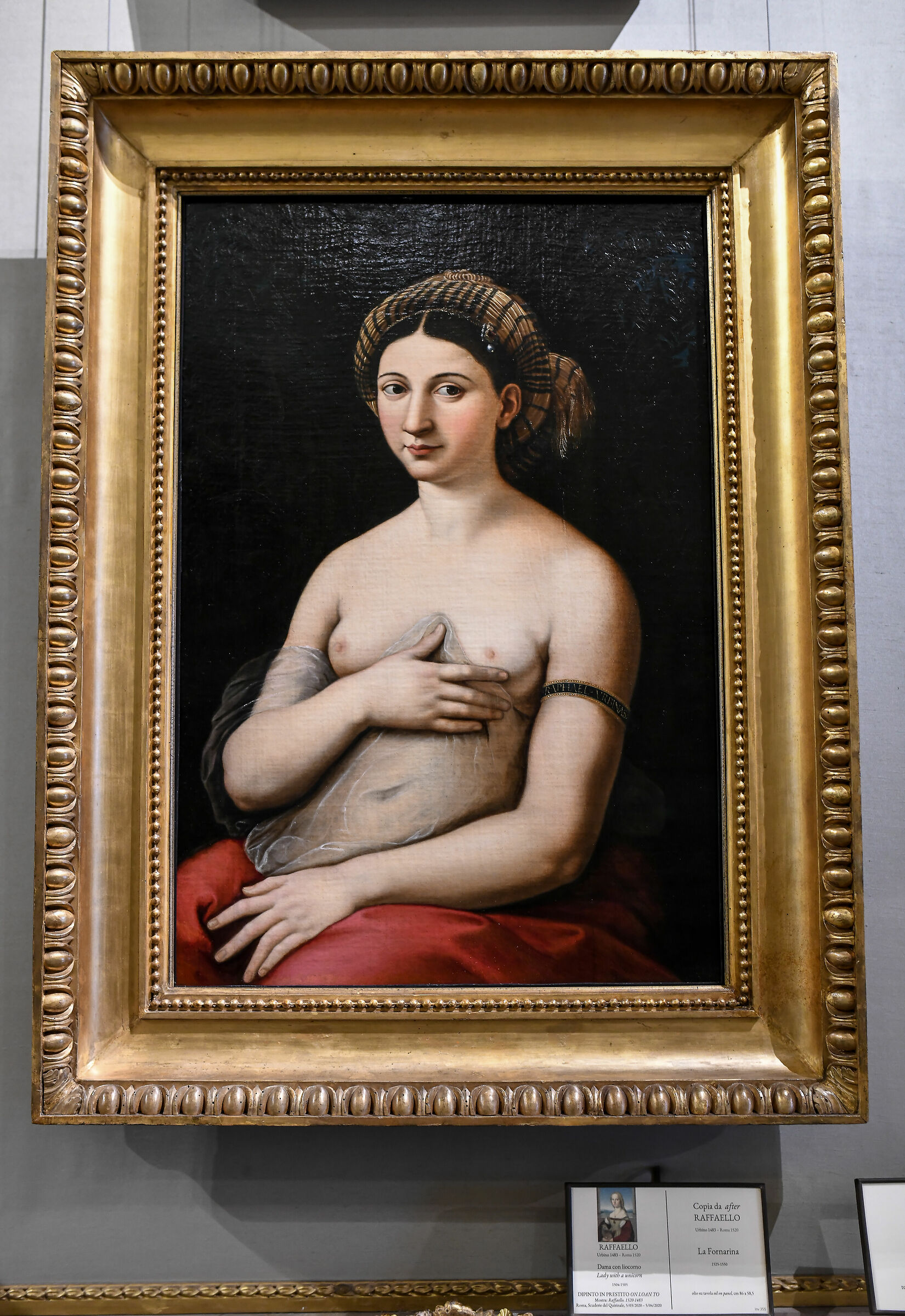 Borghese-La Fornarina Gallery