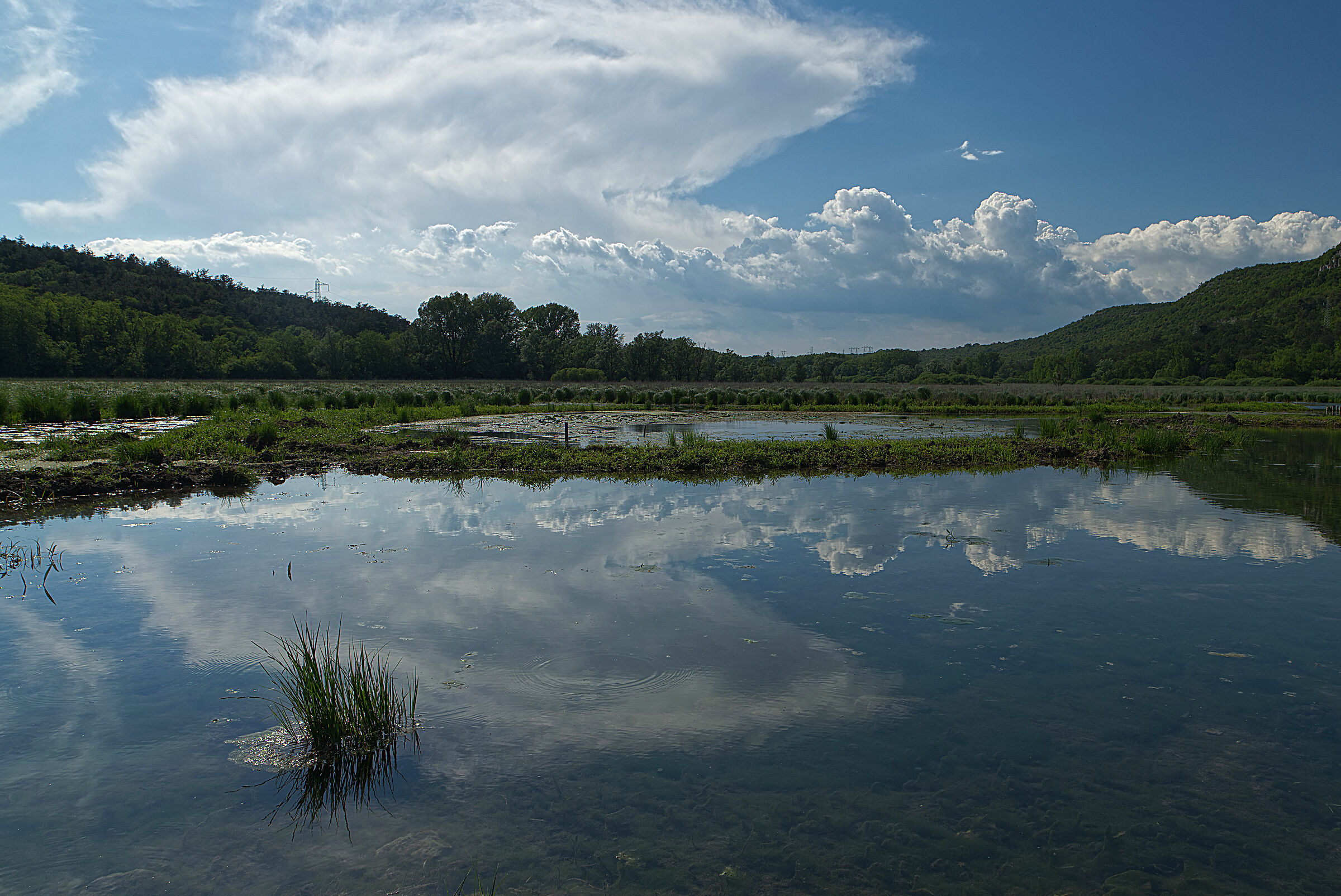 Lake Doberdò