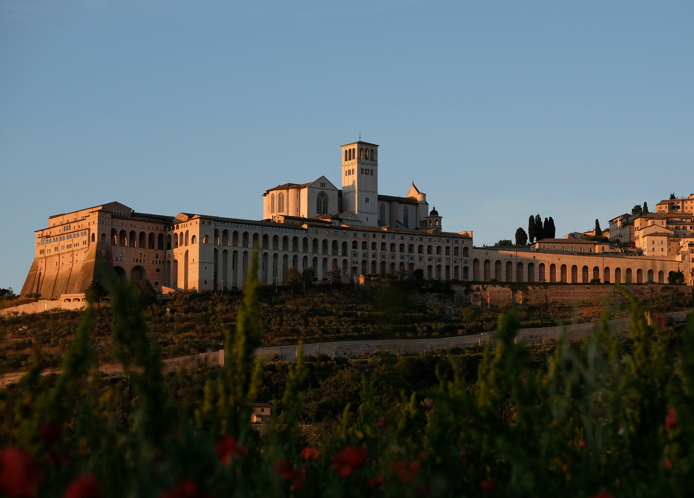 Magic hour in Assisi