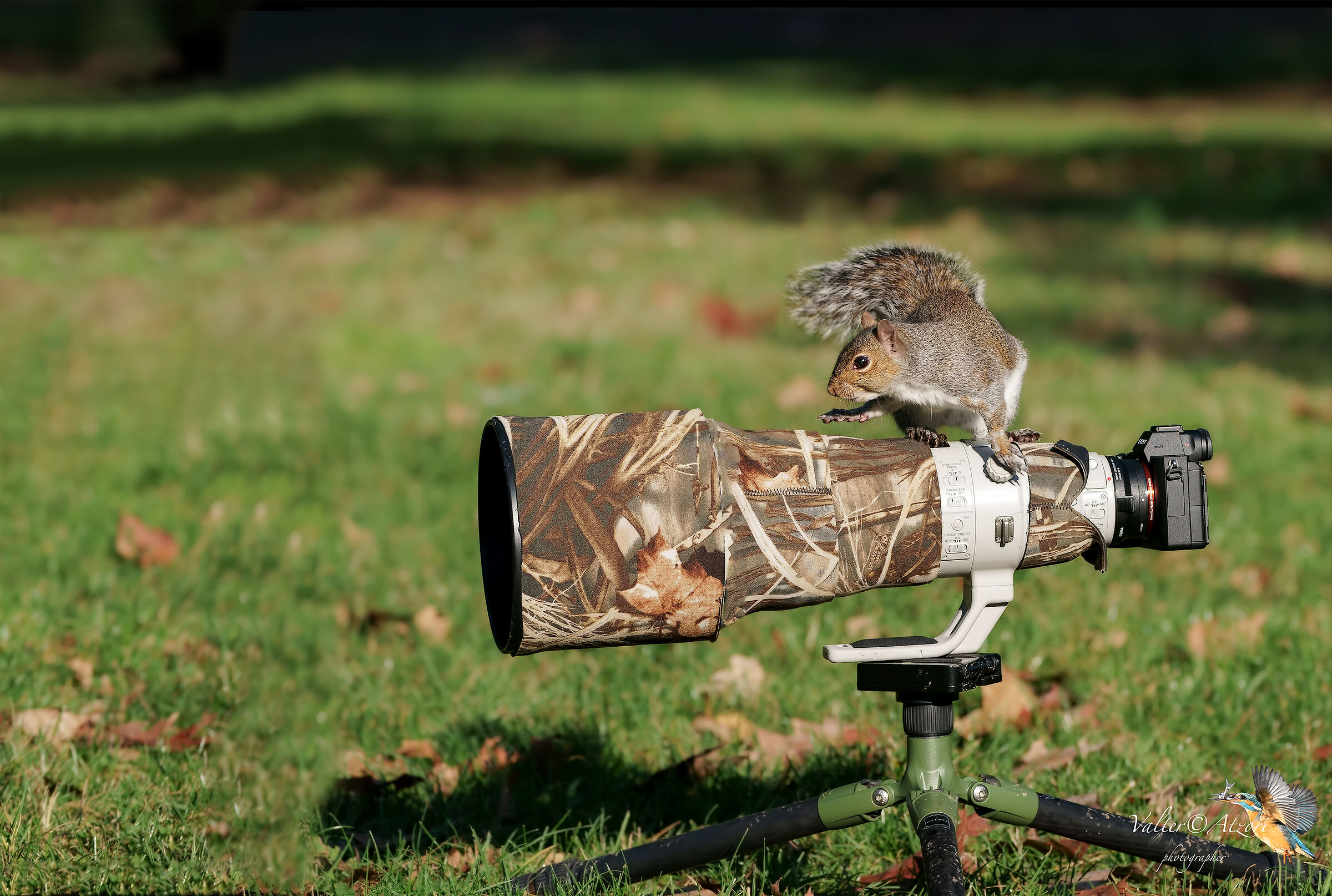 Dai takes photos, I'm sick of posing