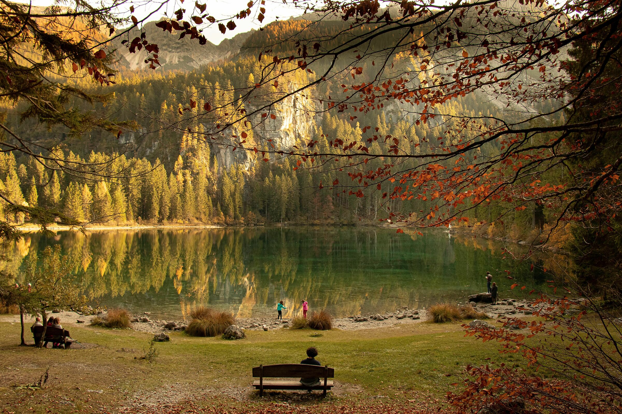at Lake Tovel (Trentino A.A., Italy)