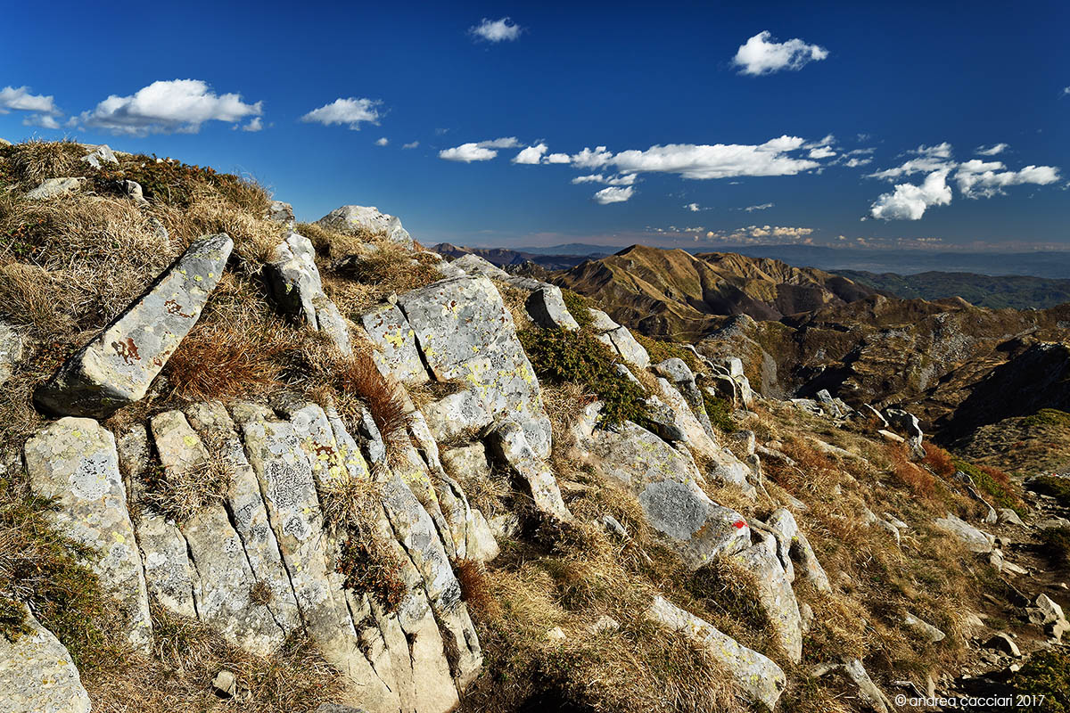 Panorama from Monte Giovo