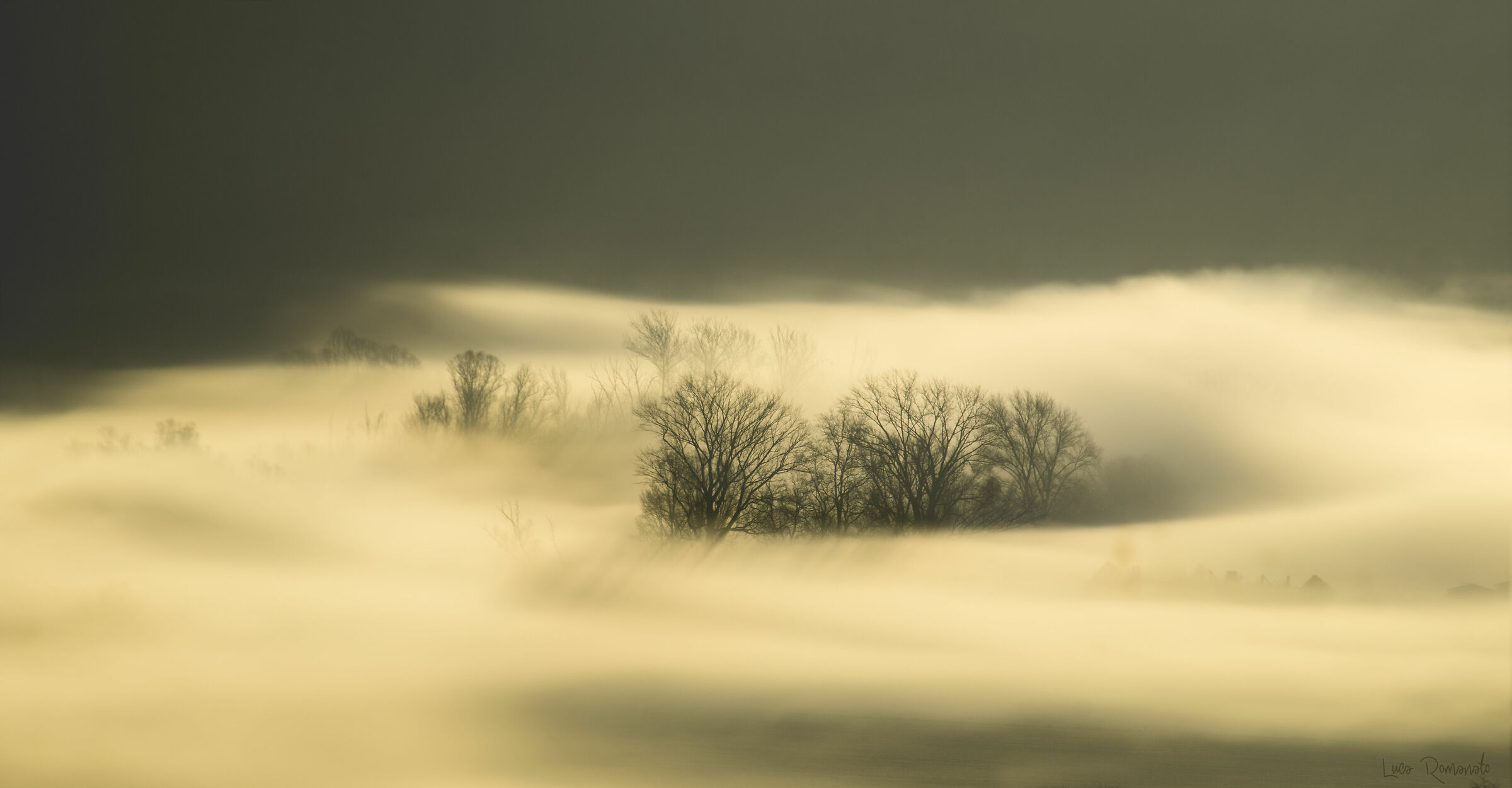 fog fog fog