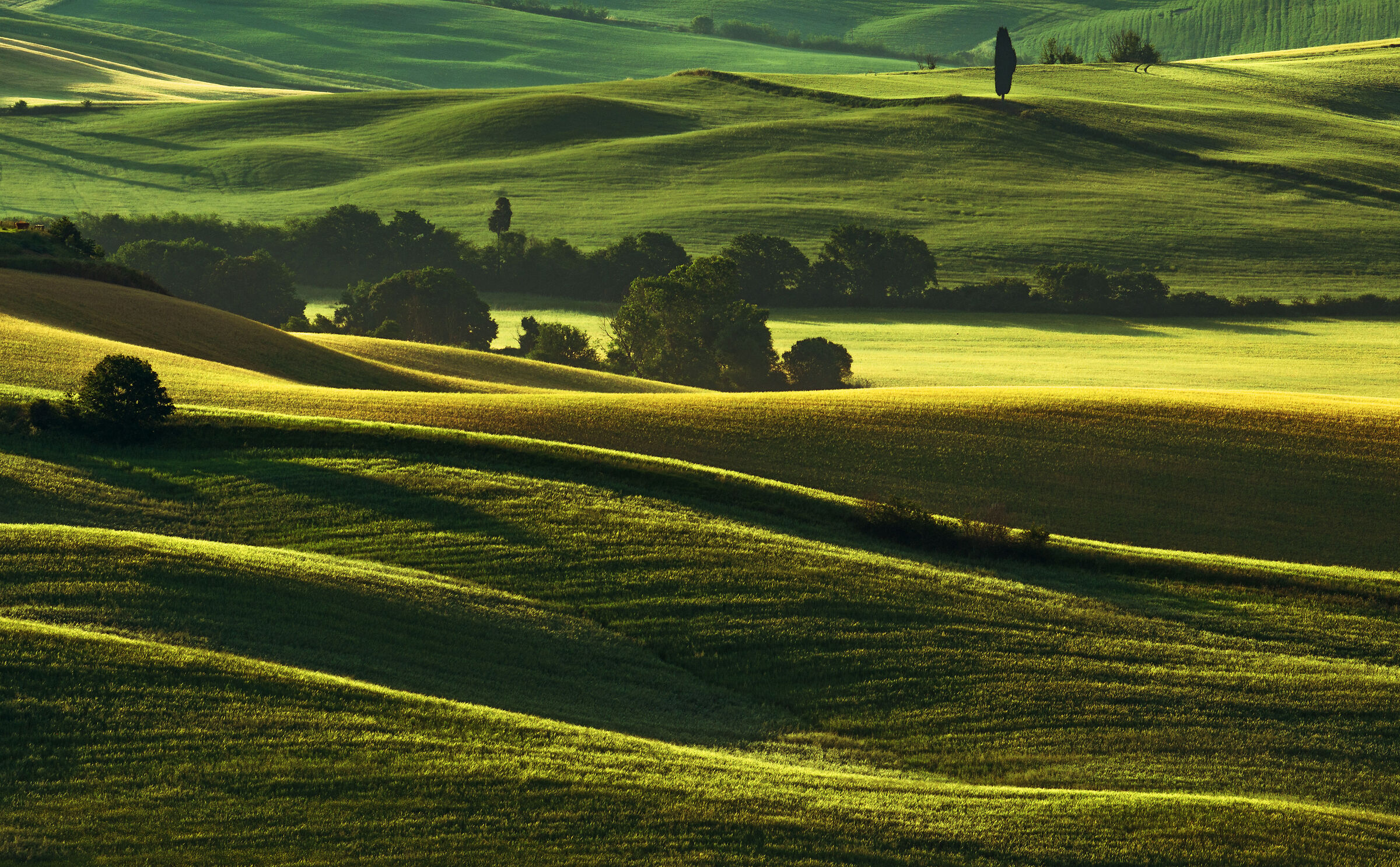 un soffice risveglio