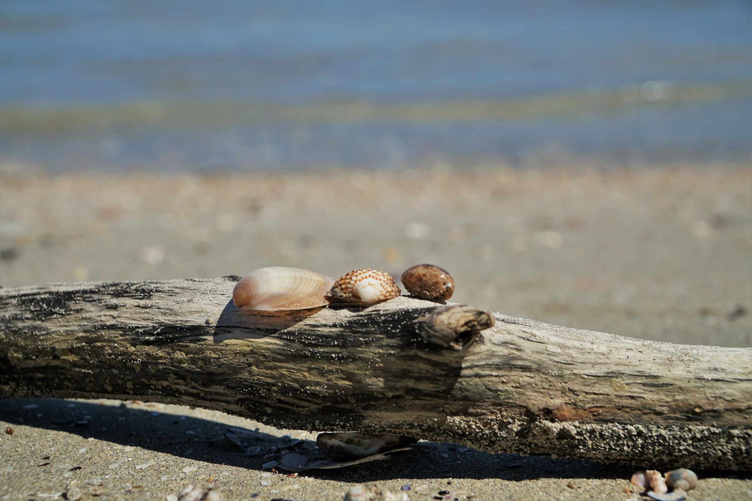 Untitled Photo