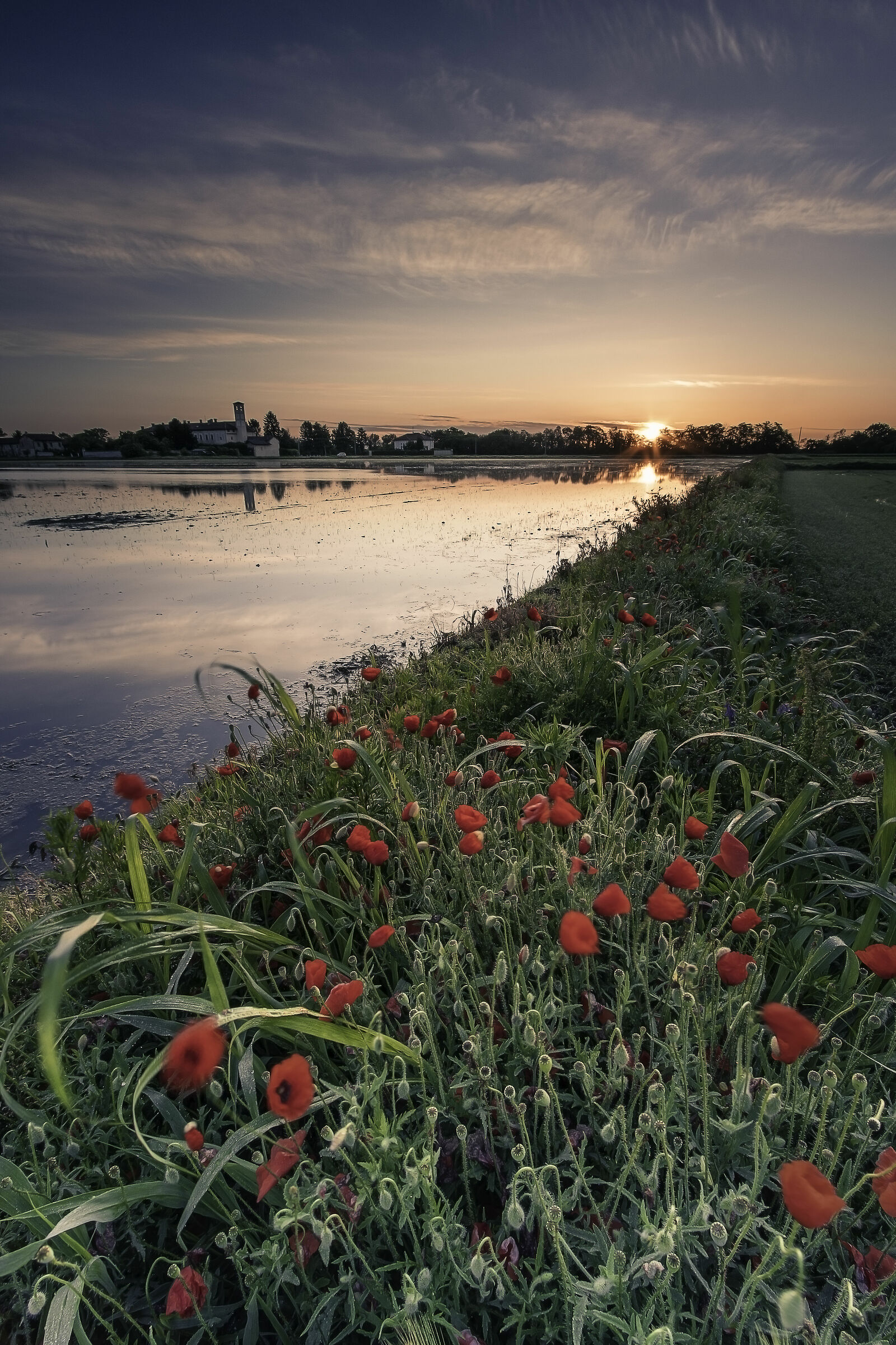 Buccella e i suoi colori