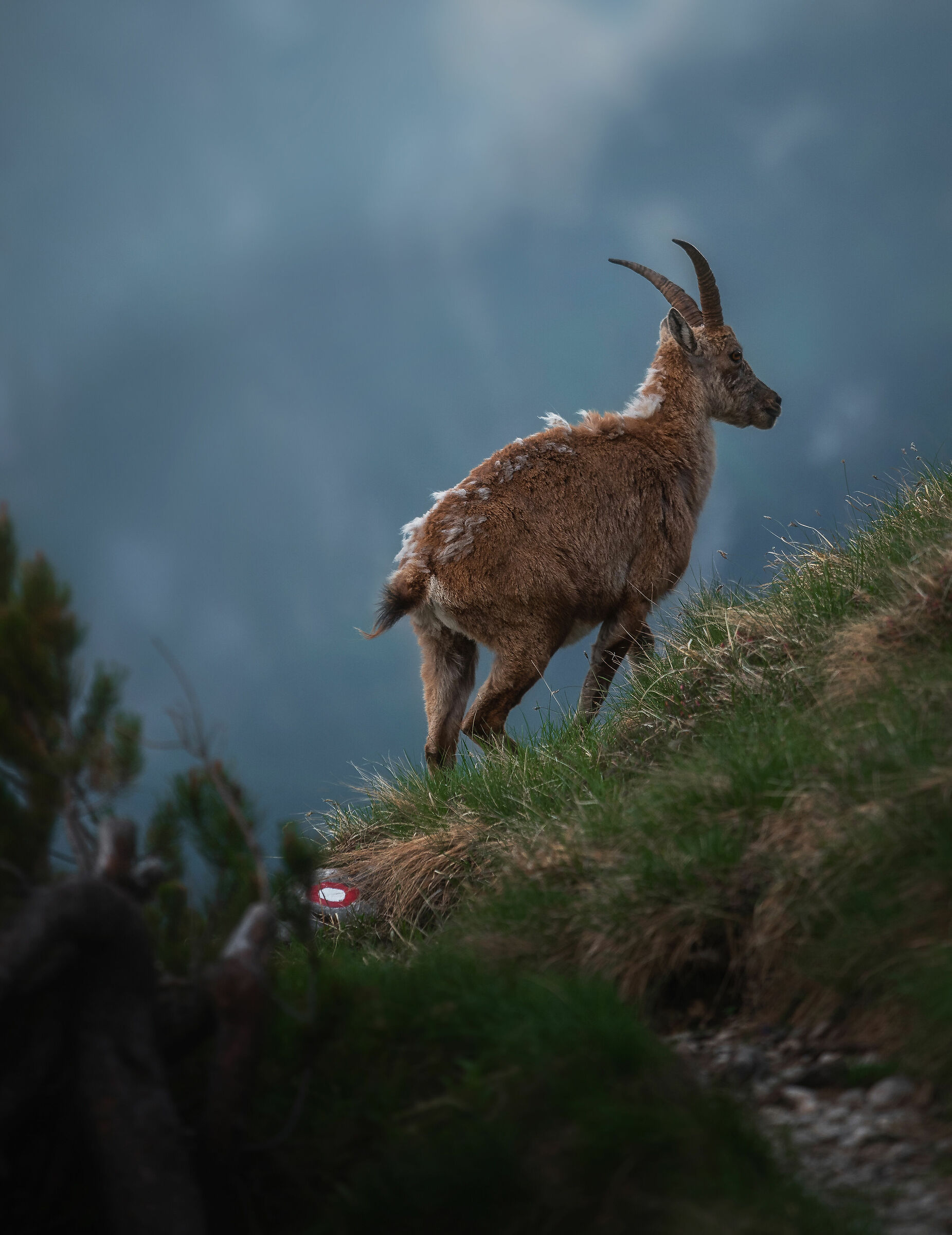 Always on the correct path