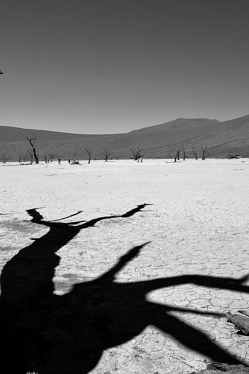 Dead Valley Sossusvlei
