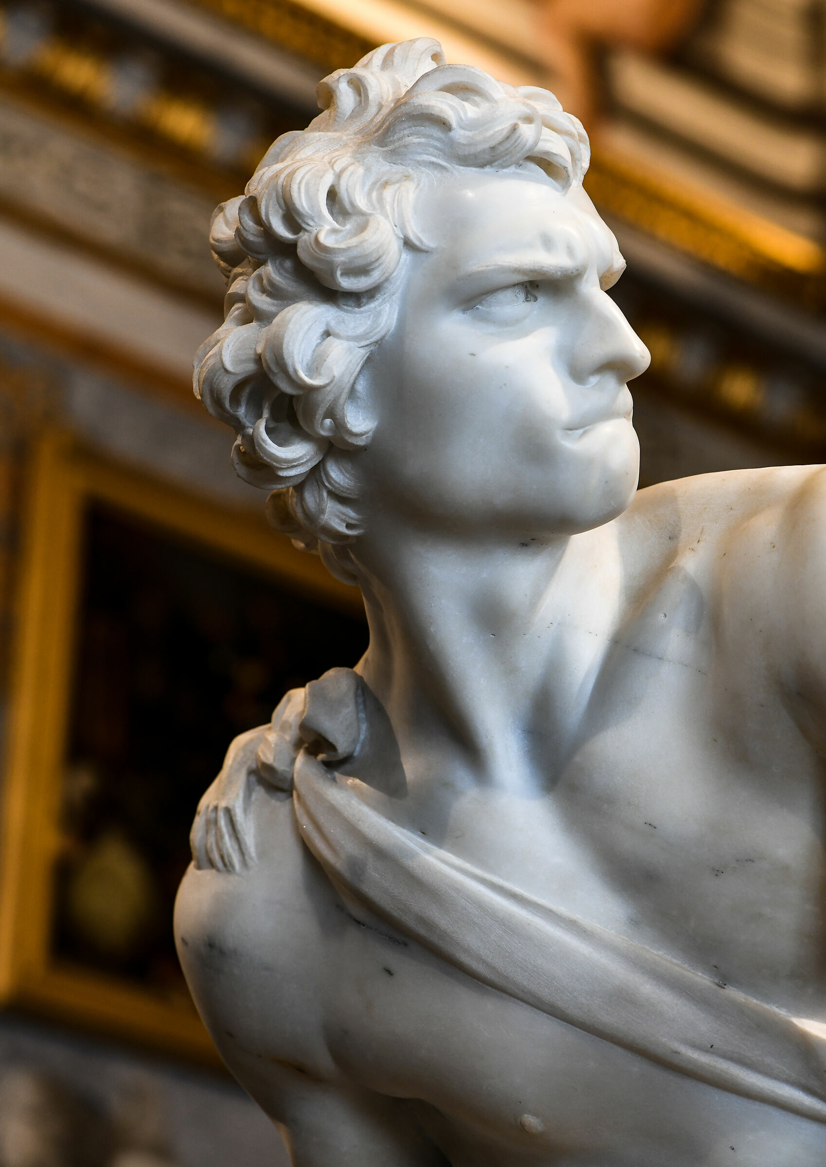 Borghese-G.L.Bernini Gallery, detail of the "David"