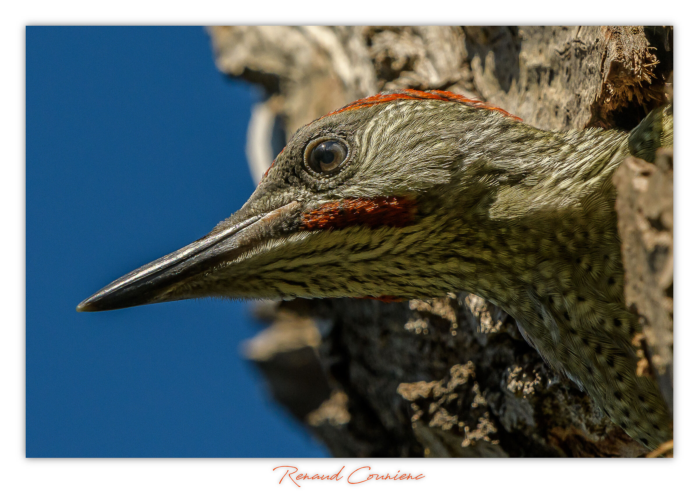 With better settings