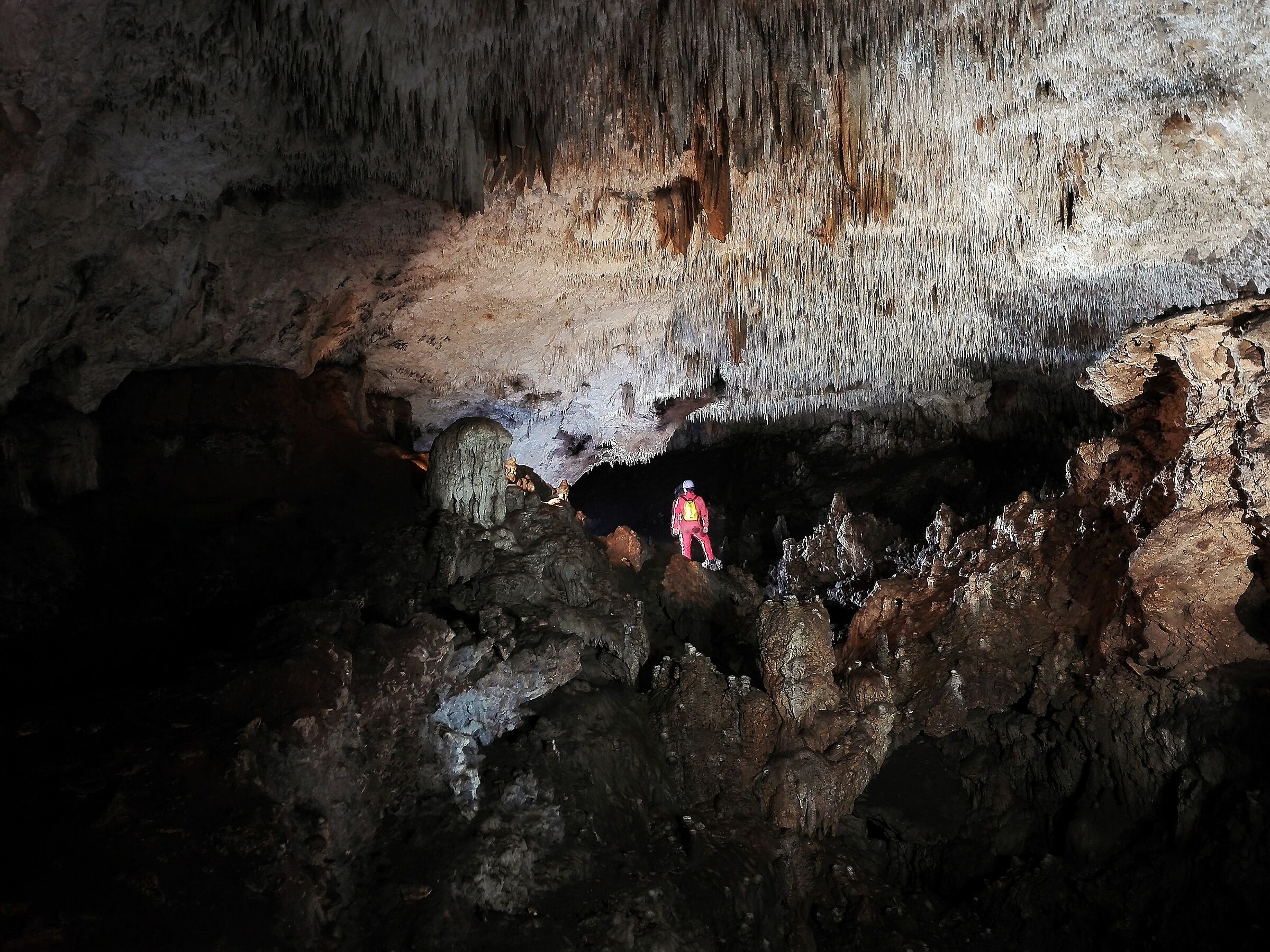 Speleologia