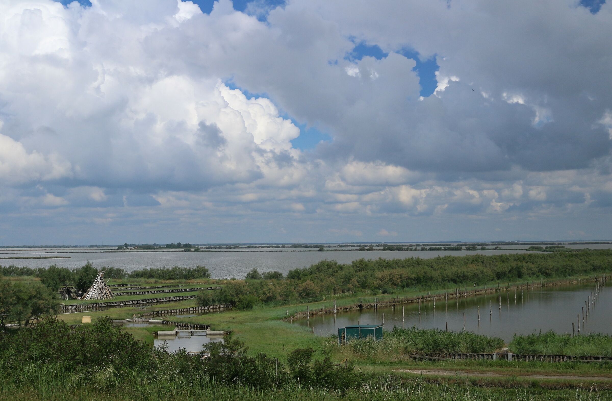 valleys south of Comacchio (Fe)