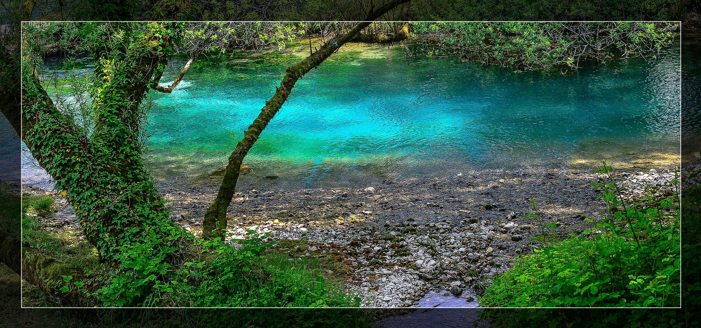 Colors