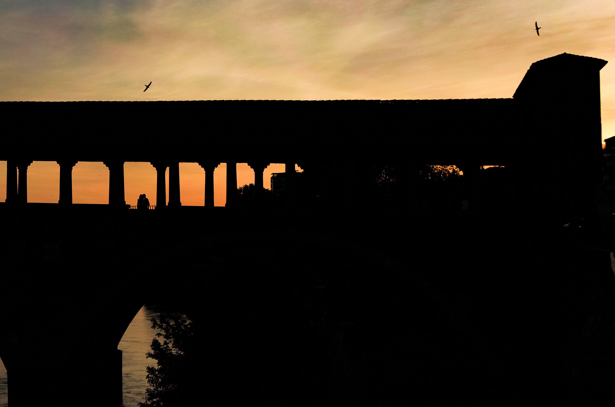 Covid19 Phase 2 - Fall in love on the Pavia Covered Bridge