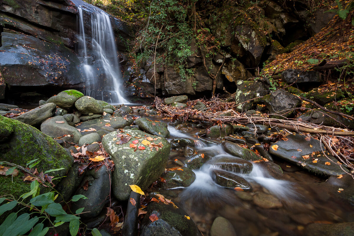 Le acque del Pratomagno ...