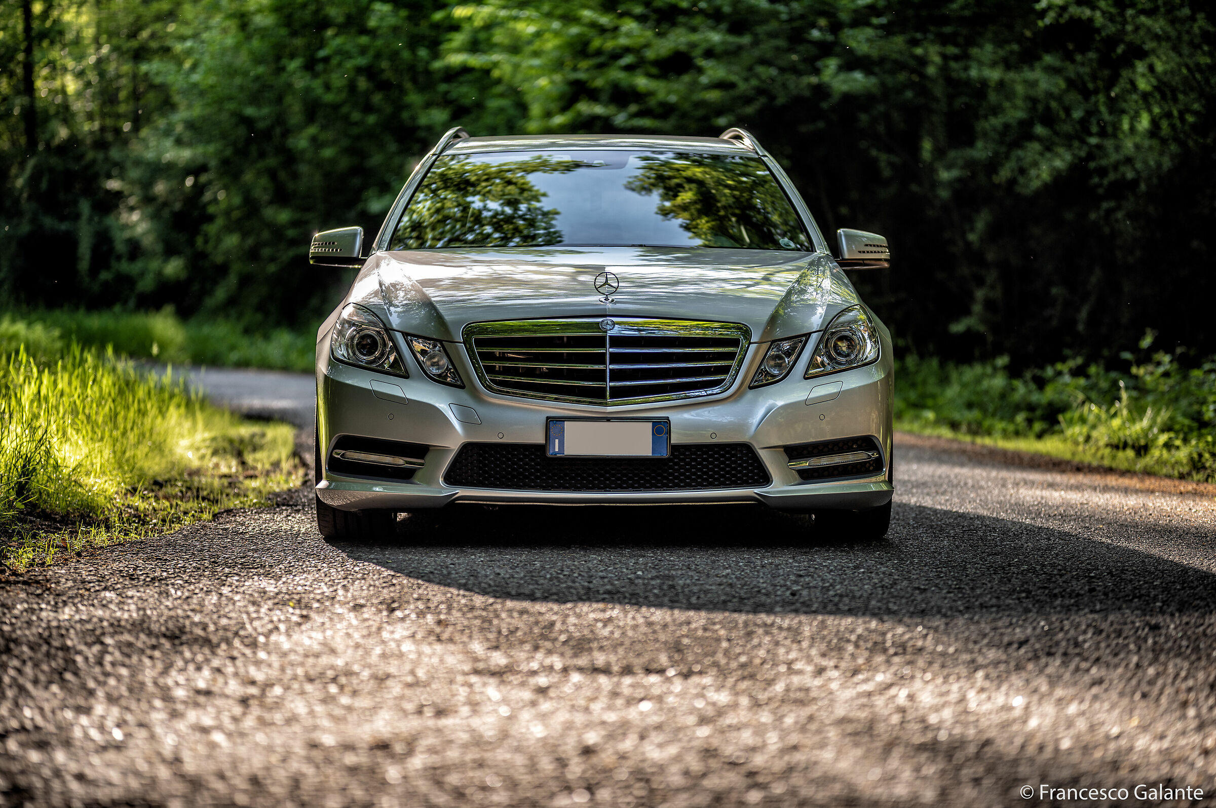 Pulizie di Primavera!