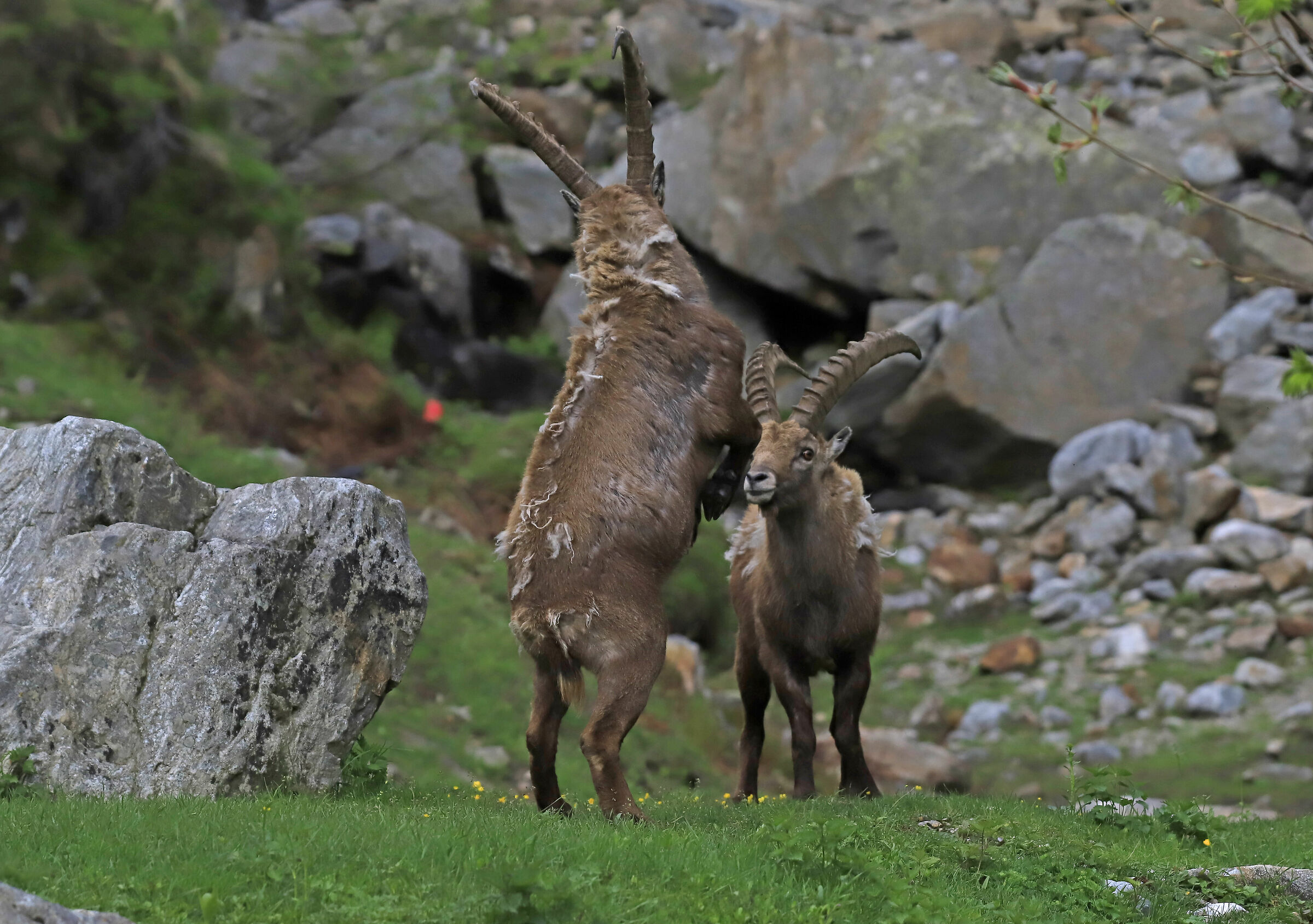 discussions between neighbors