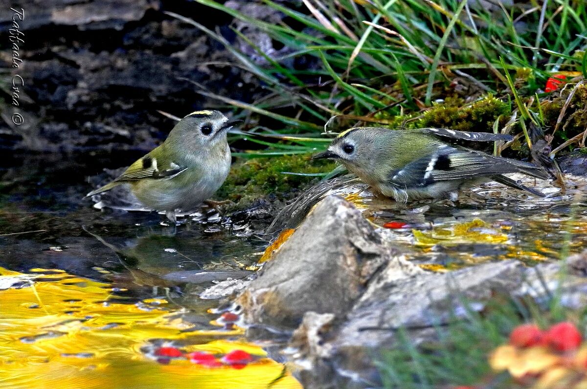 Toilet rules at sunrise