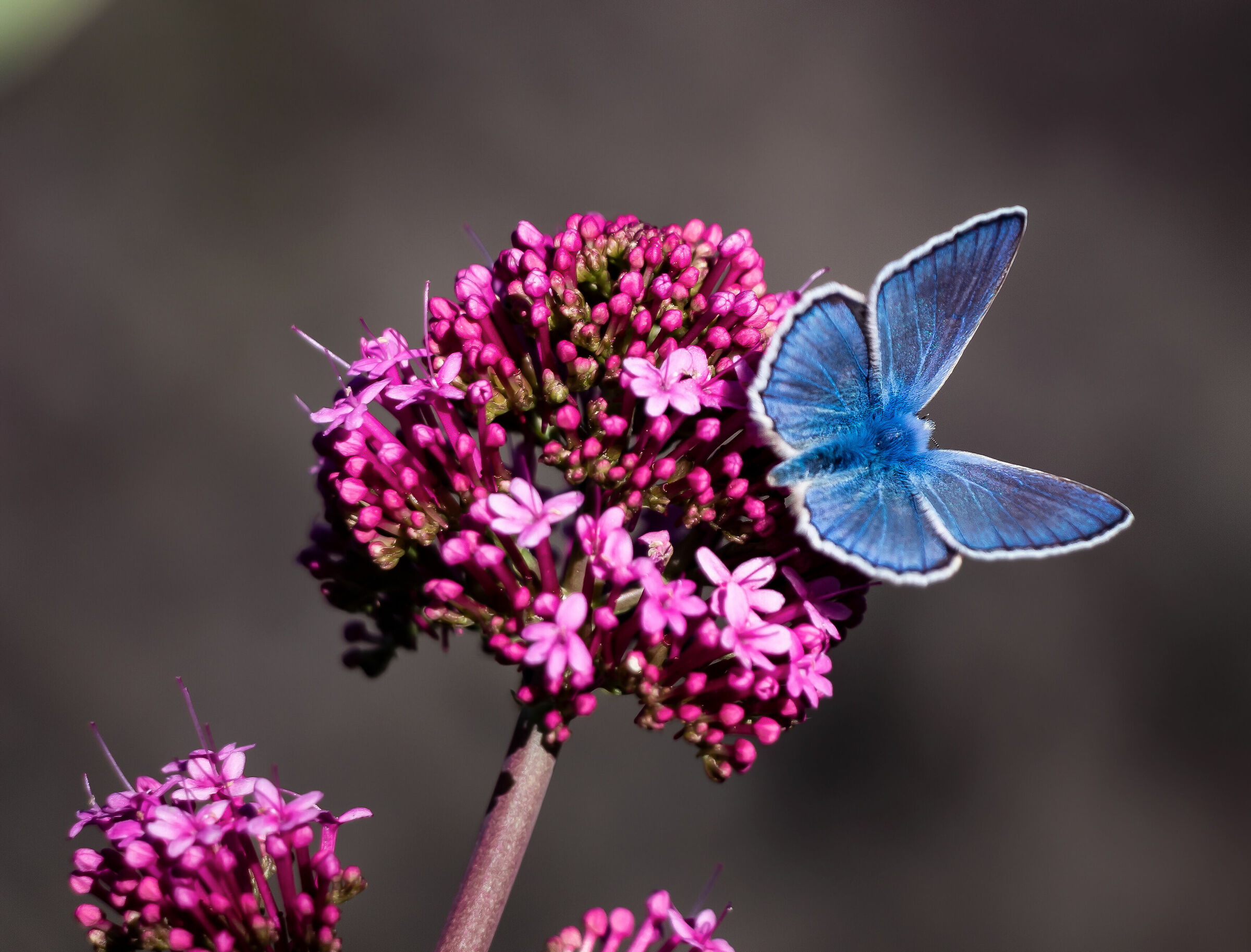 I meravigliosi colori della natura...