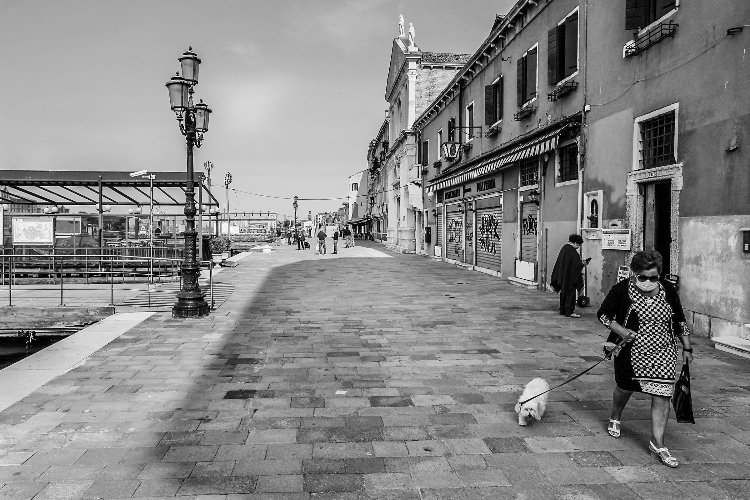 Walking with my white dog