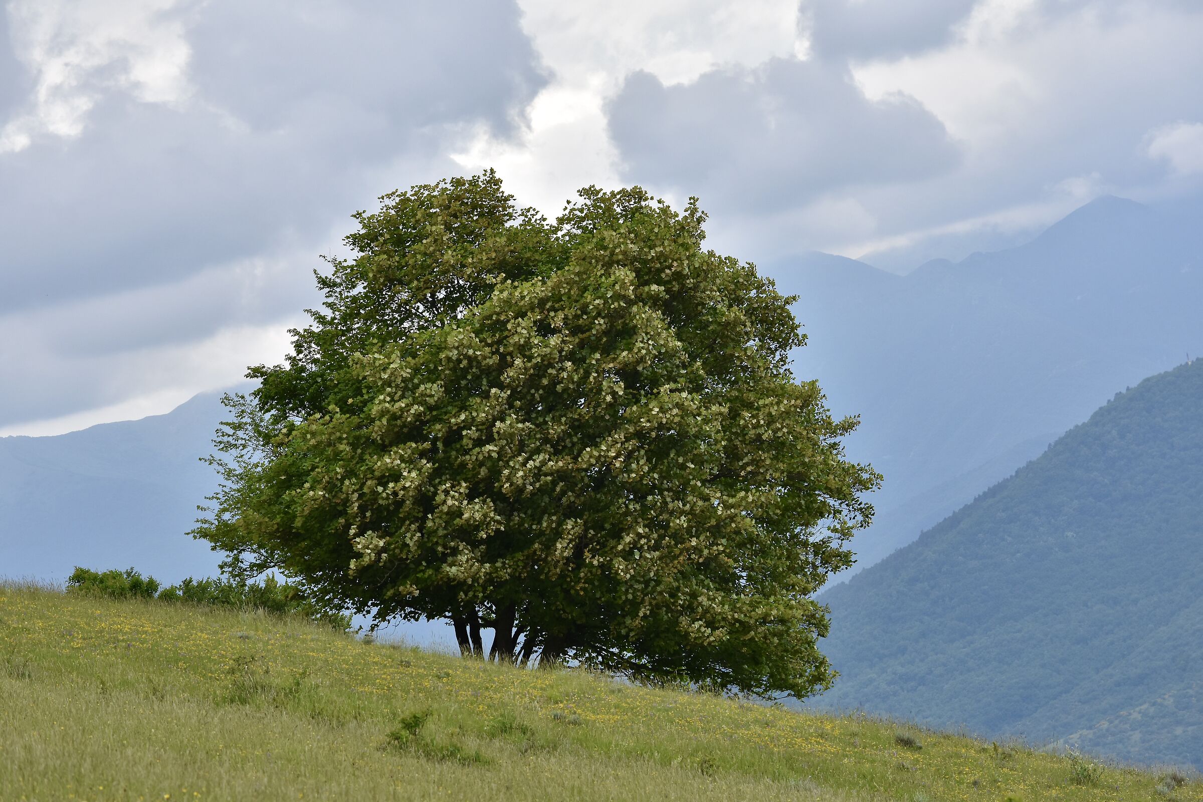 L'equilibrio della natura