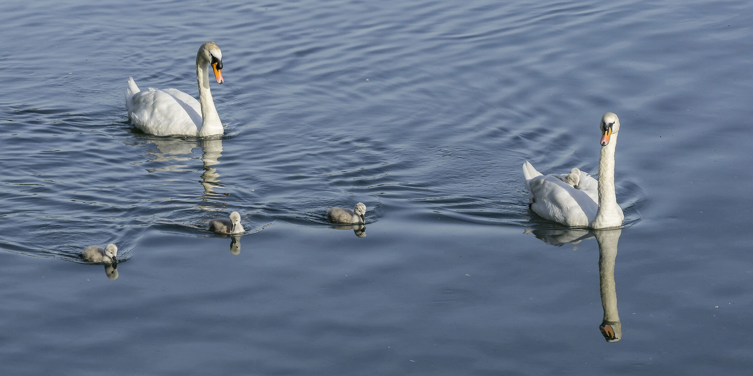 Domenica 24 maggio 2020, 19:00:26