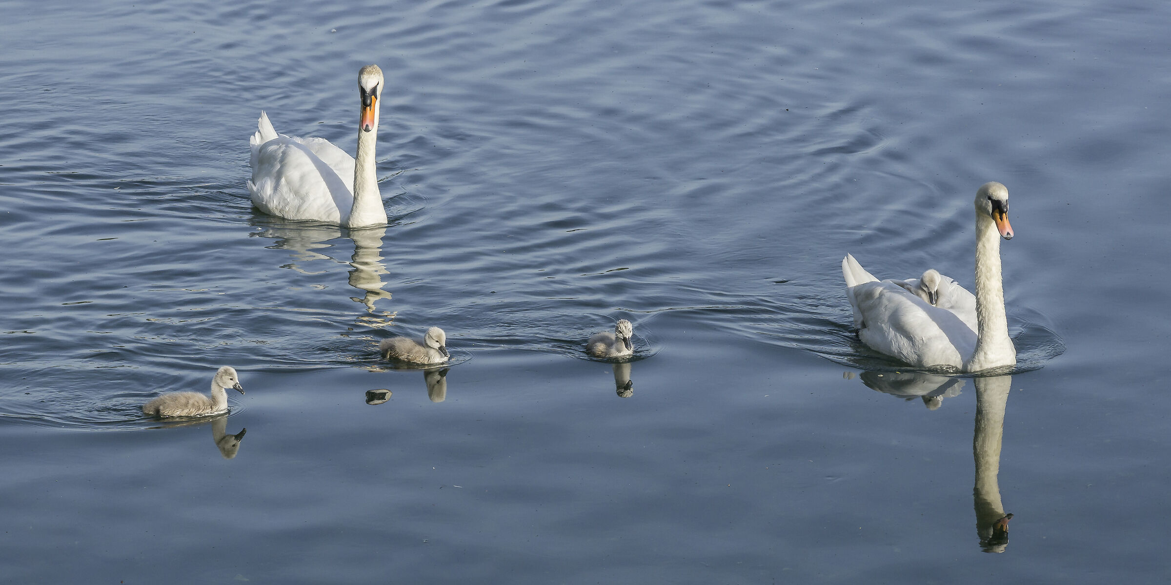 Domenica 24 maggio 2020, 19:00:30