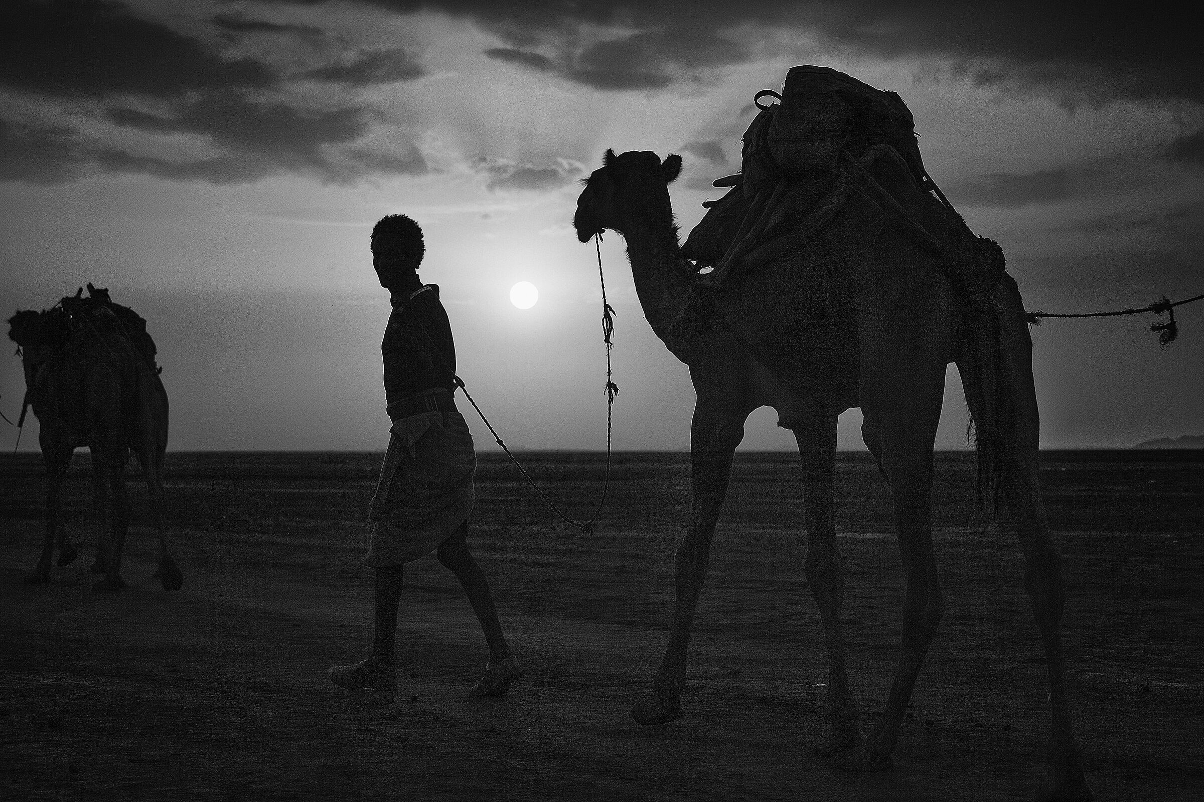 arrival of camels at dawn - Ahmed Ela - Ethiopia