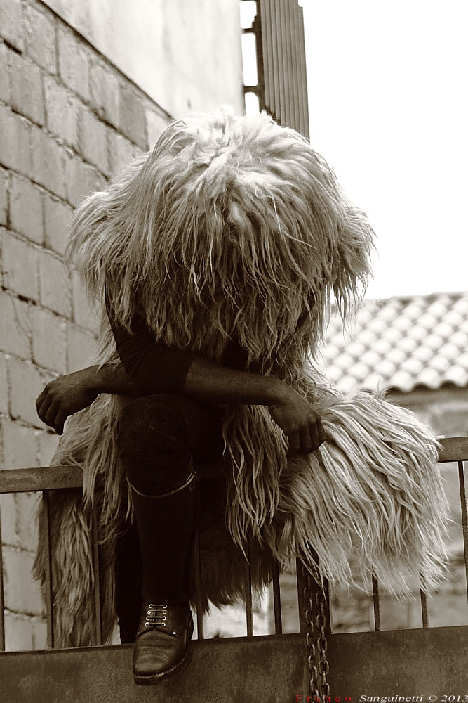 A bow to the photographer!