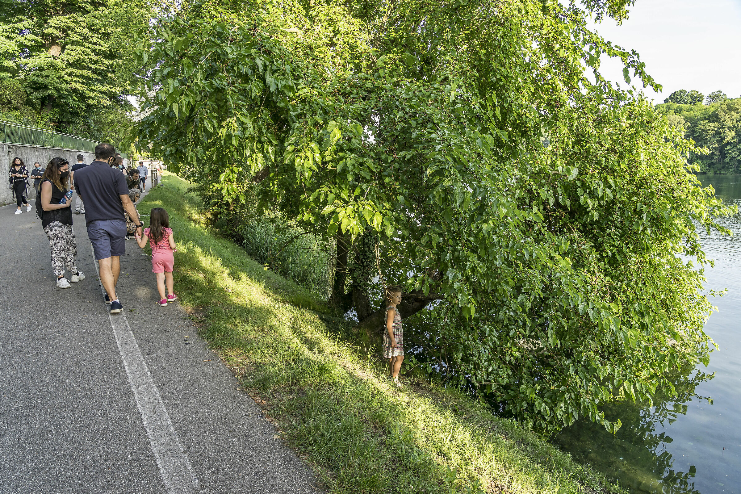 Domenica 24 maggio 2020, 19:11:26