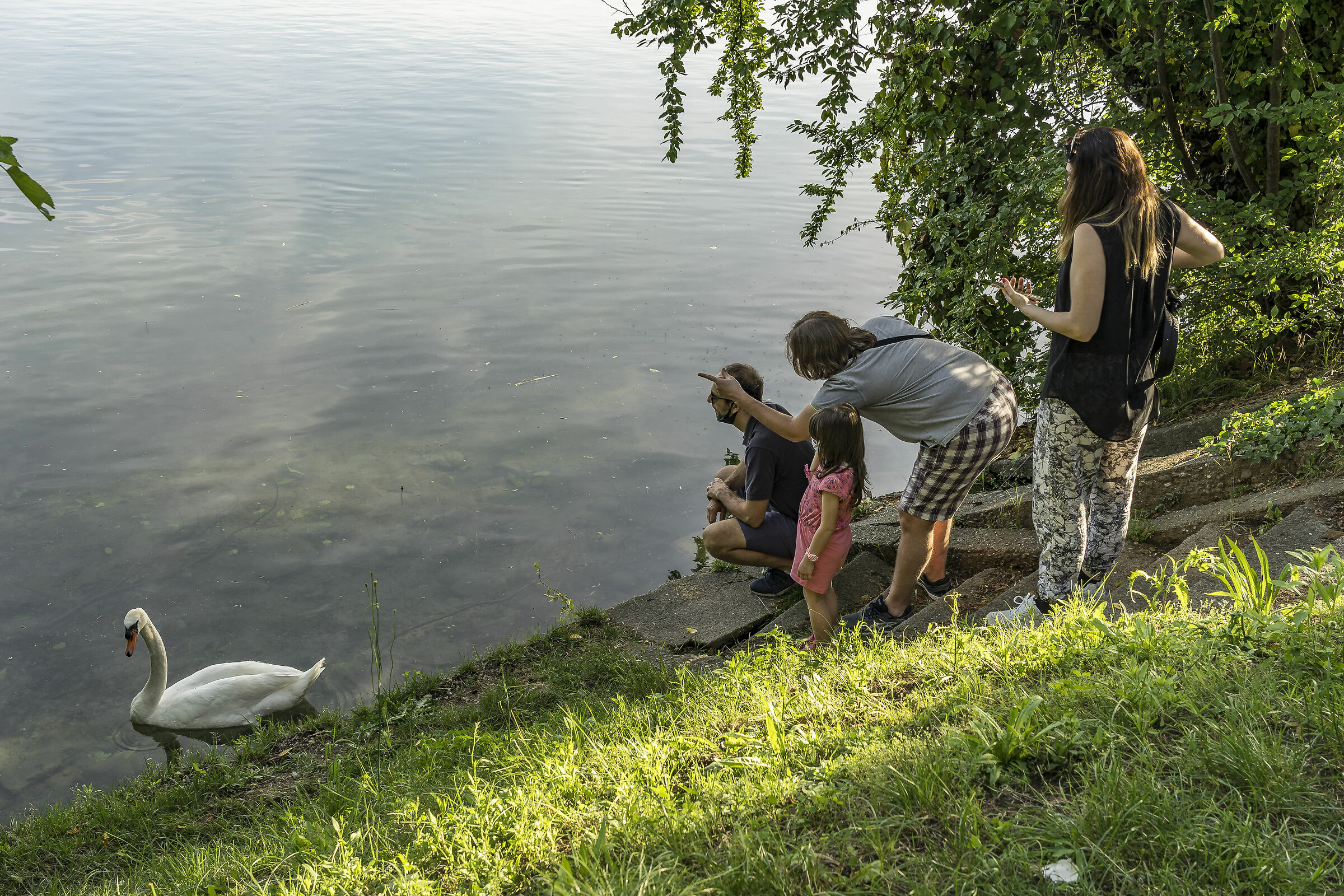 Domenica 24 maggio 2020, 19:13:04