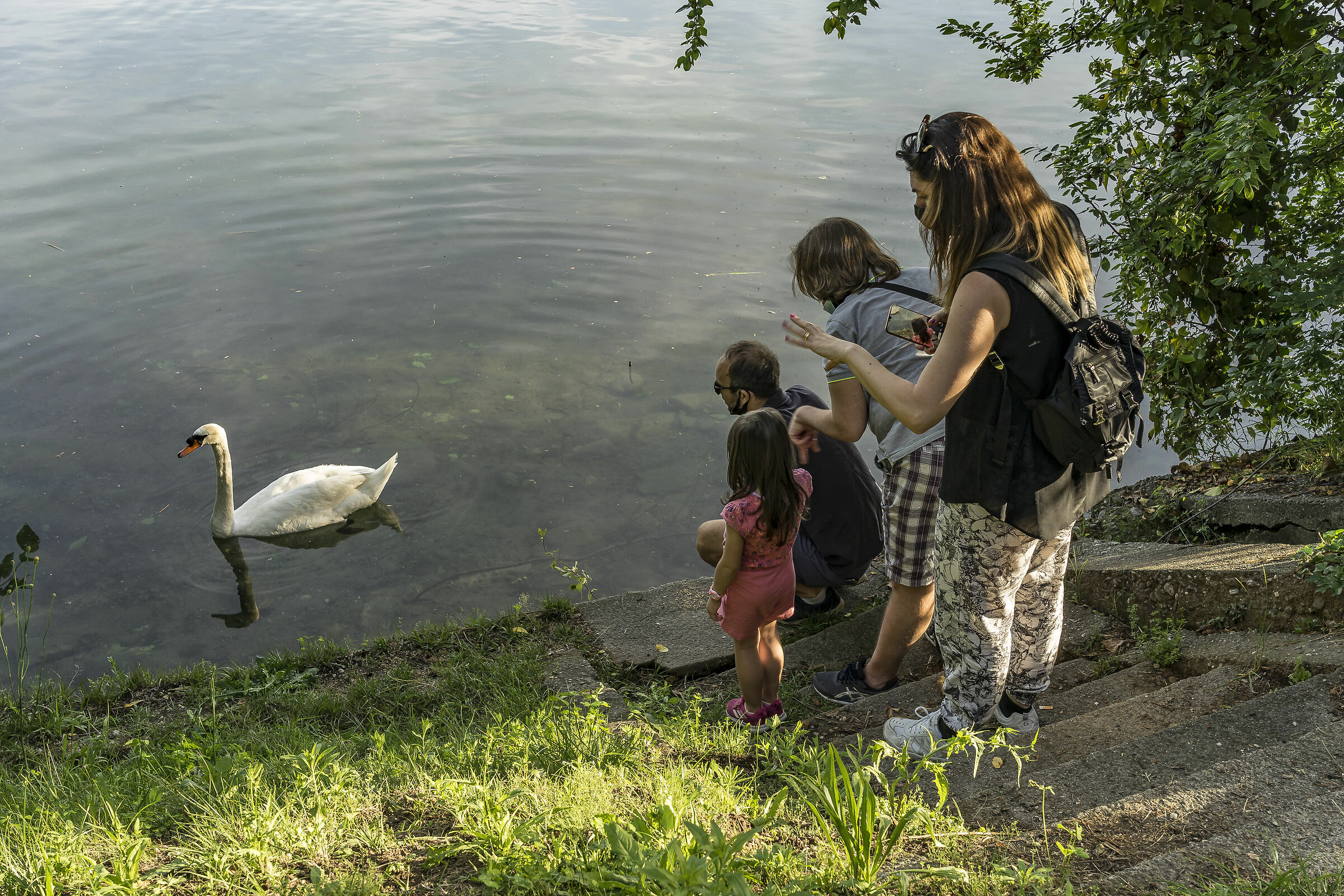 Domenica 24 maggio 2020, 19:13:28