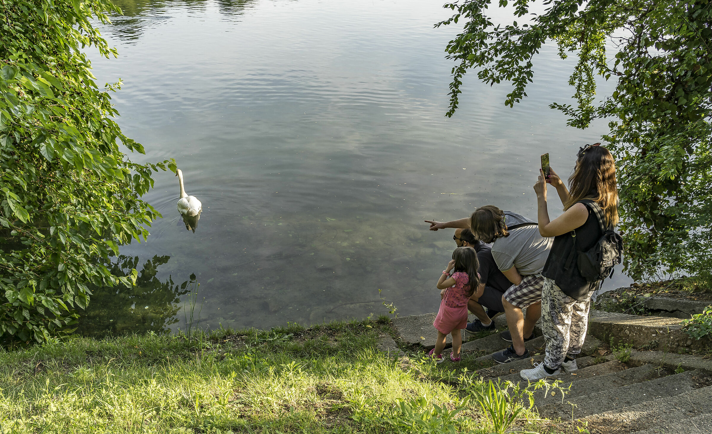 Domenica 24 maggio 2020, 19:13:40