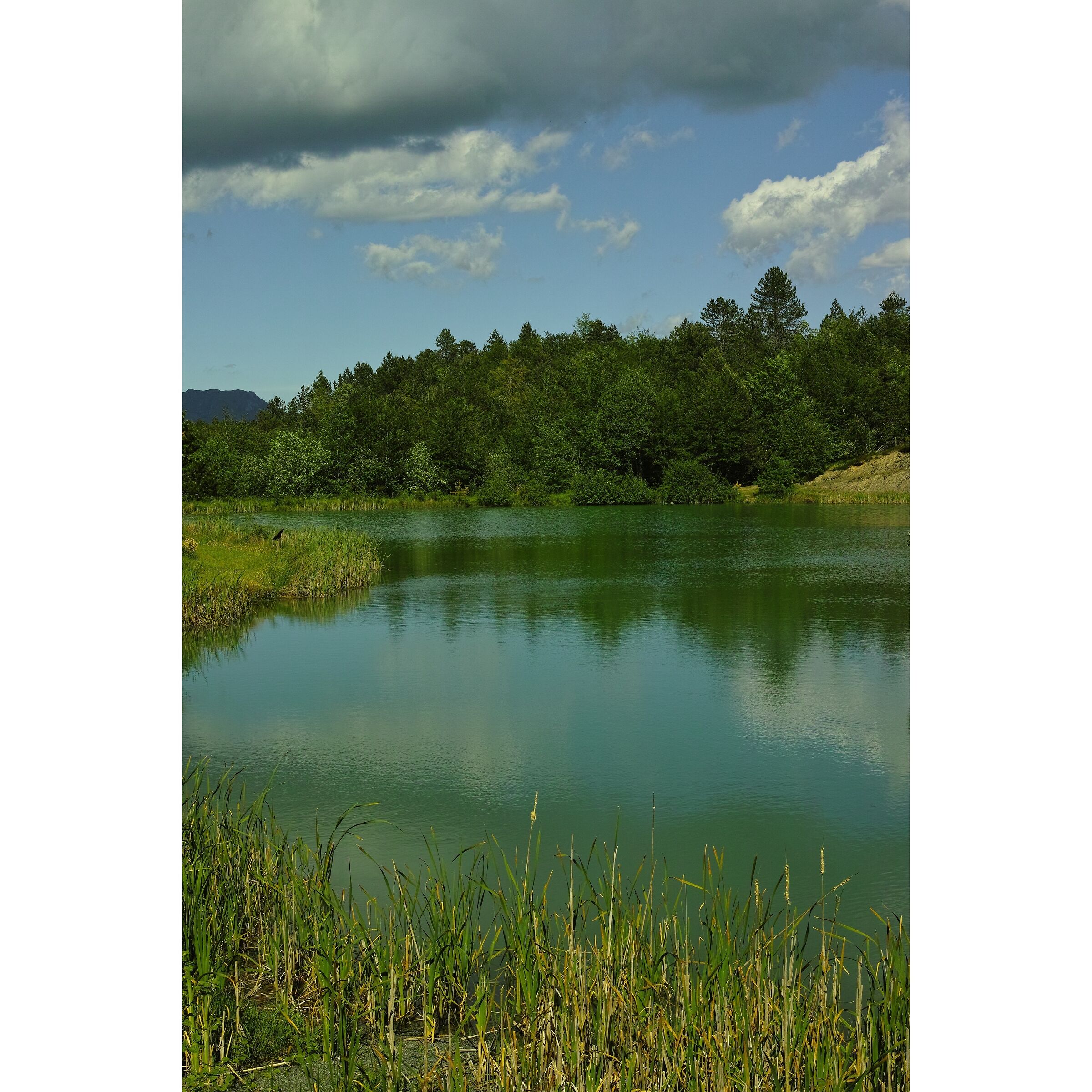 the lake