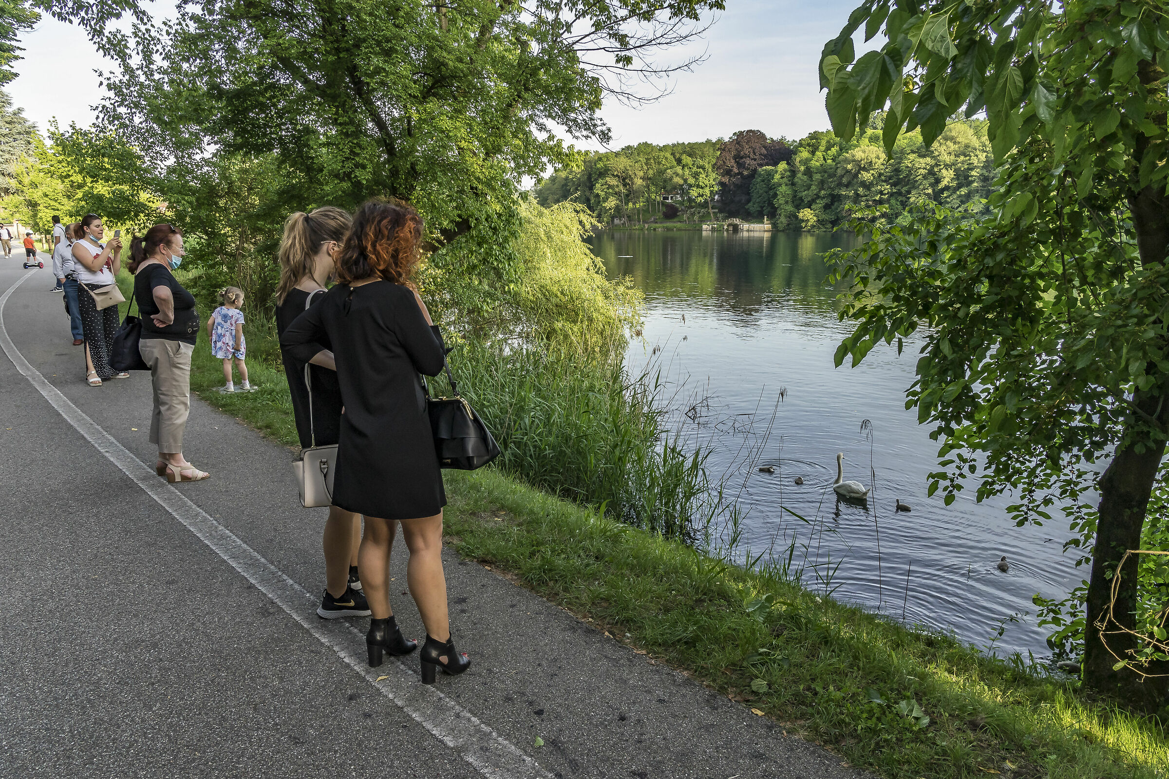 Domenica 24 maggio 2020, 19:26:24