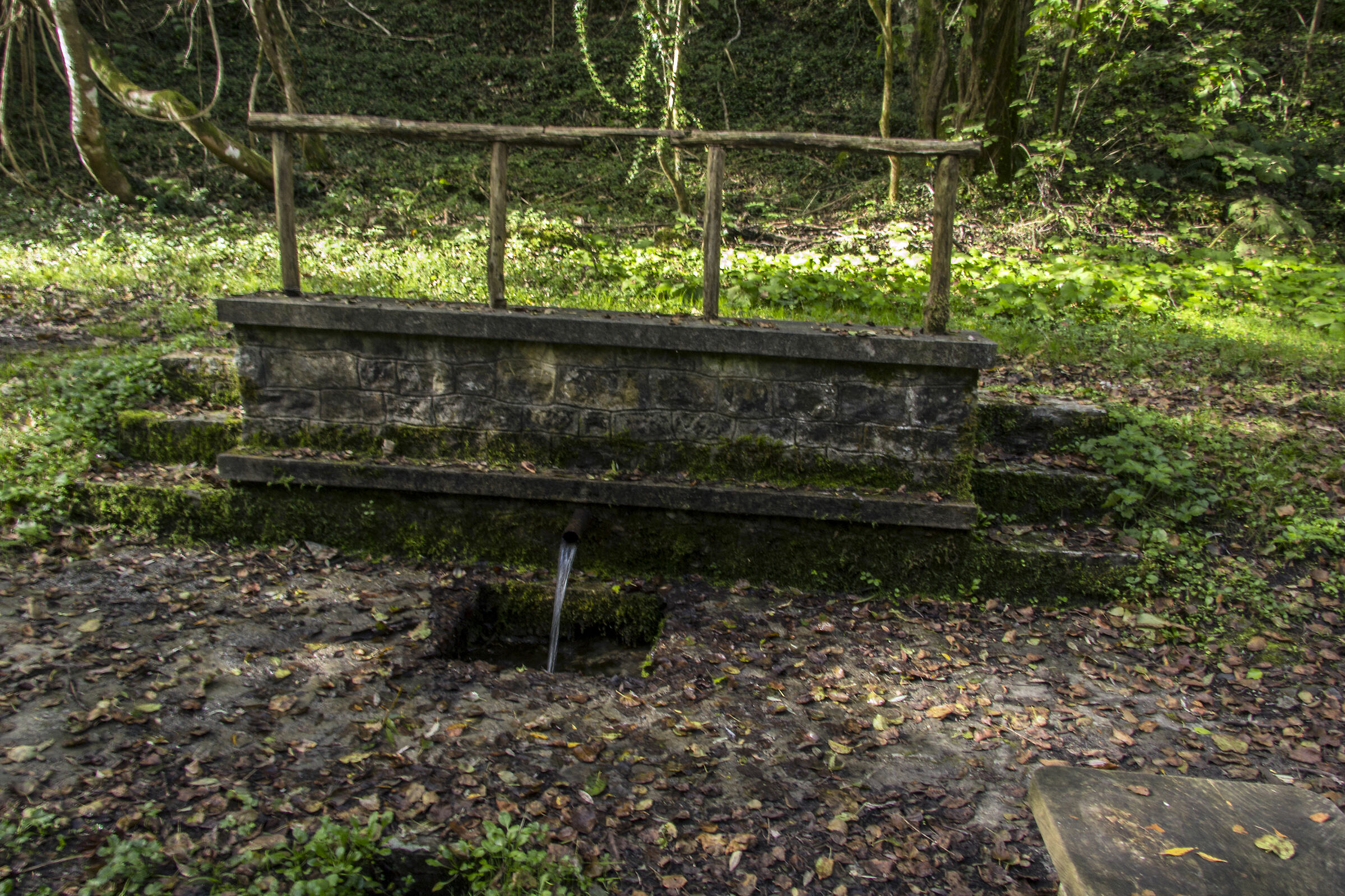 fontana Pollino (particolare)