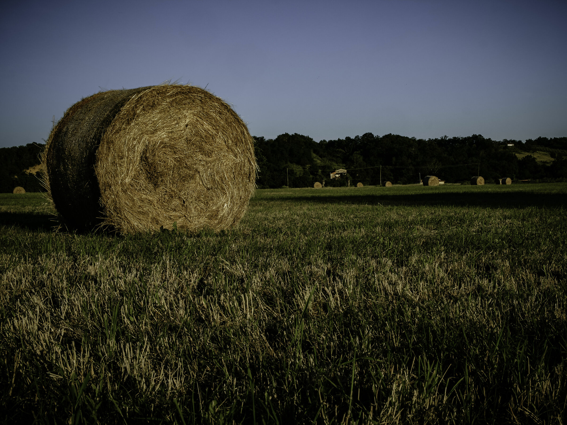 “Paesaggio Toscano”