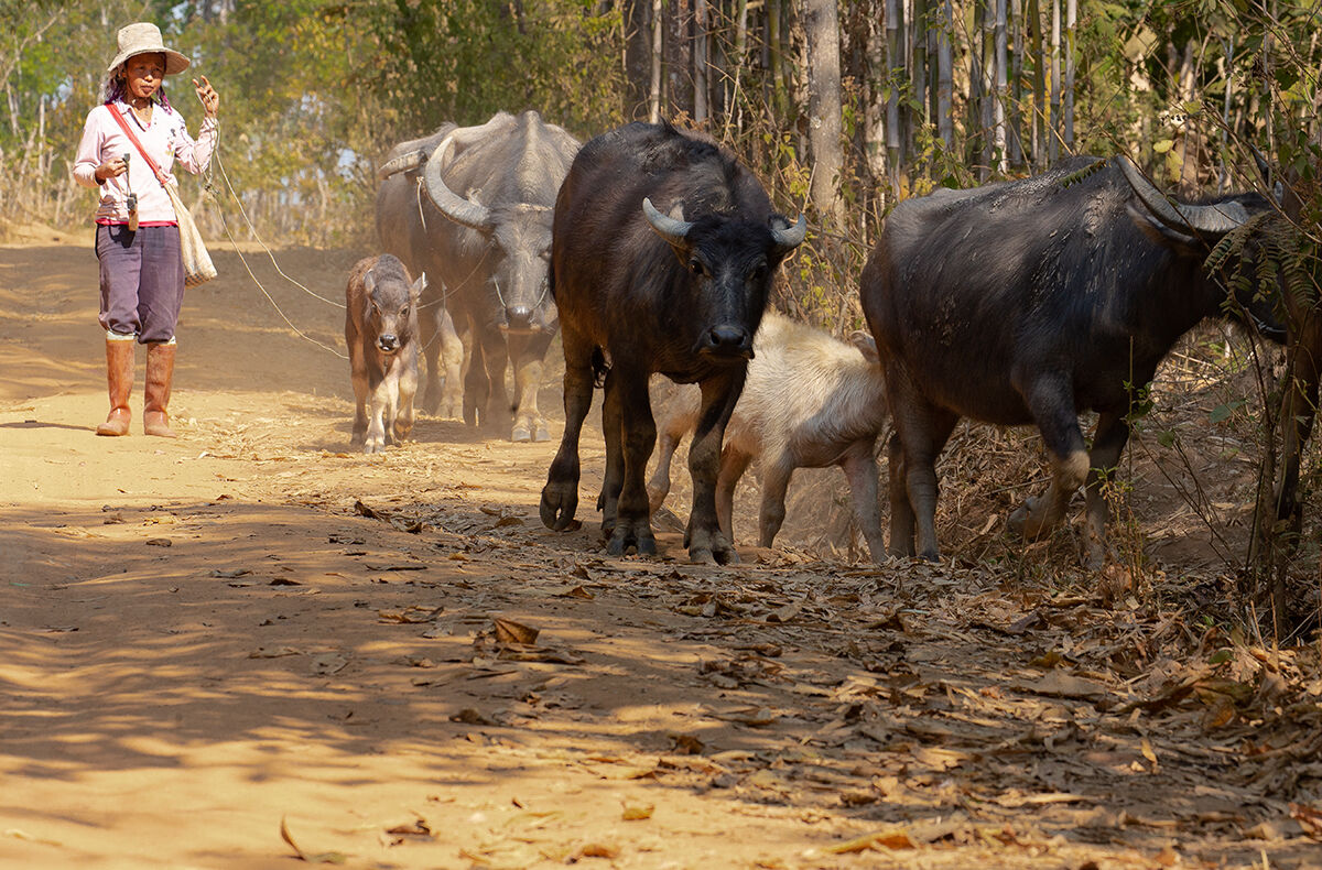 Rientro al villaggio.