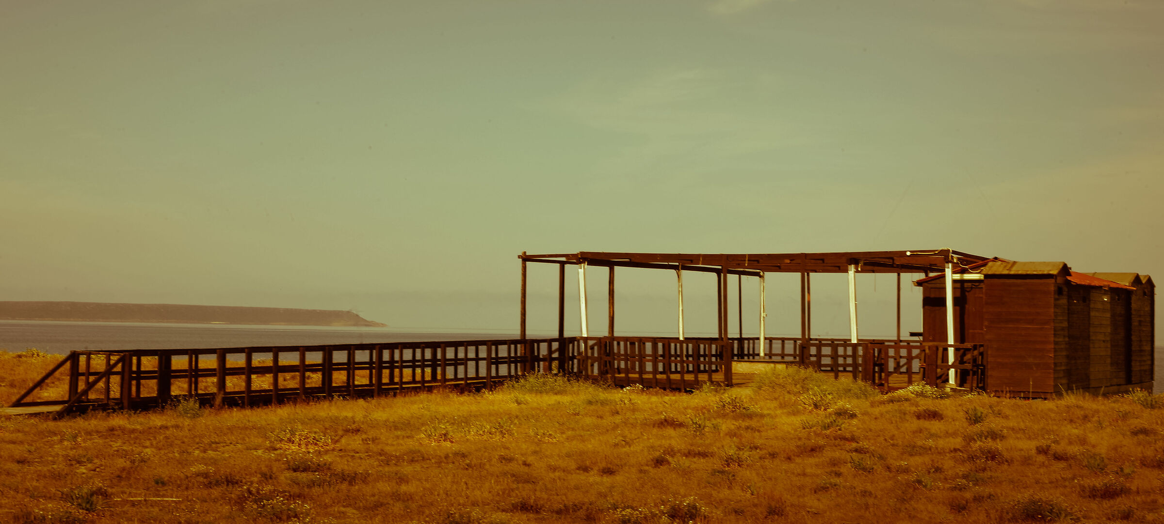 Arborea (or) 1988/2020