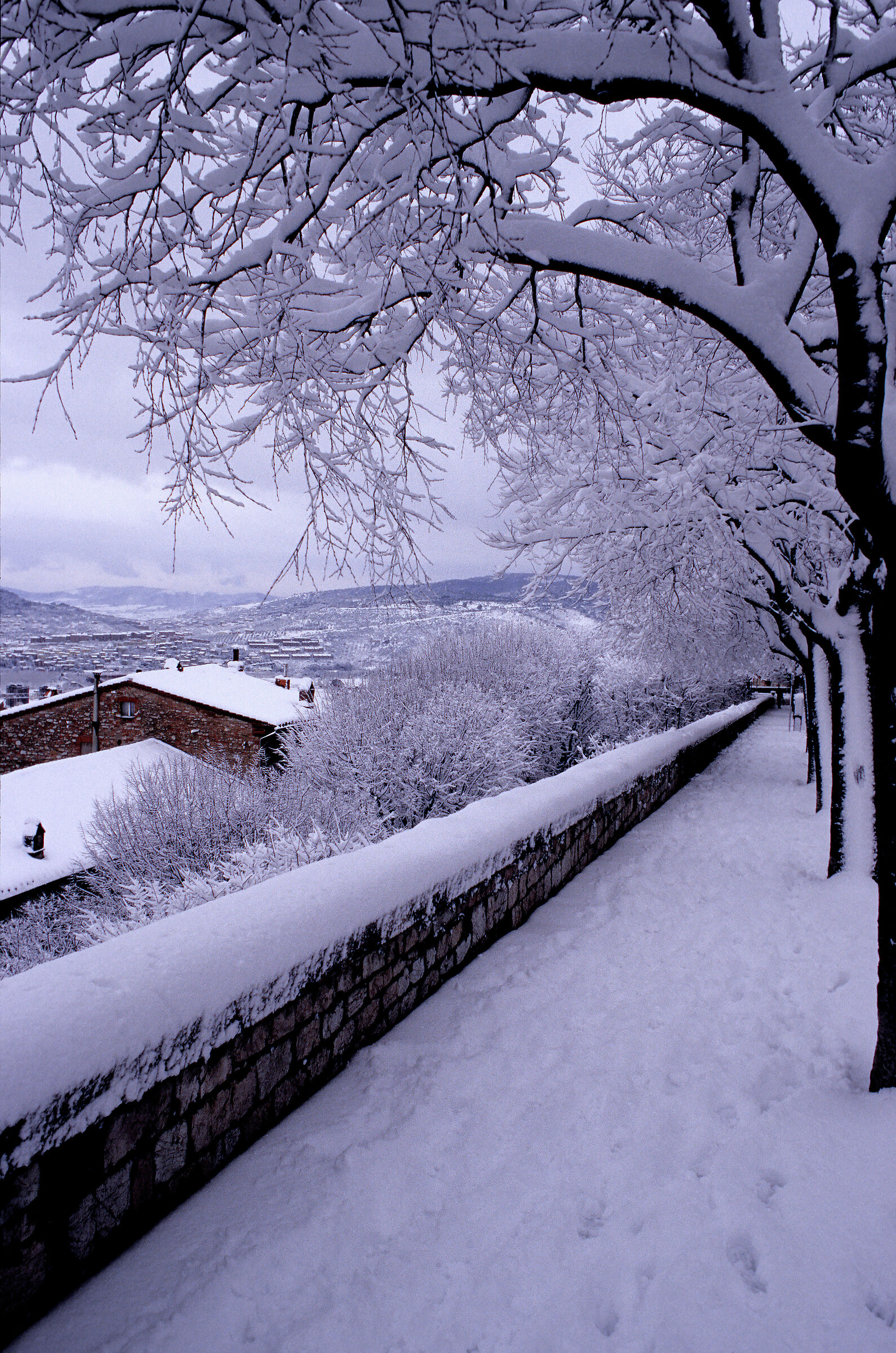 Perugia Independence Avenue