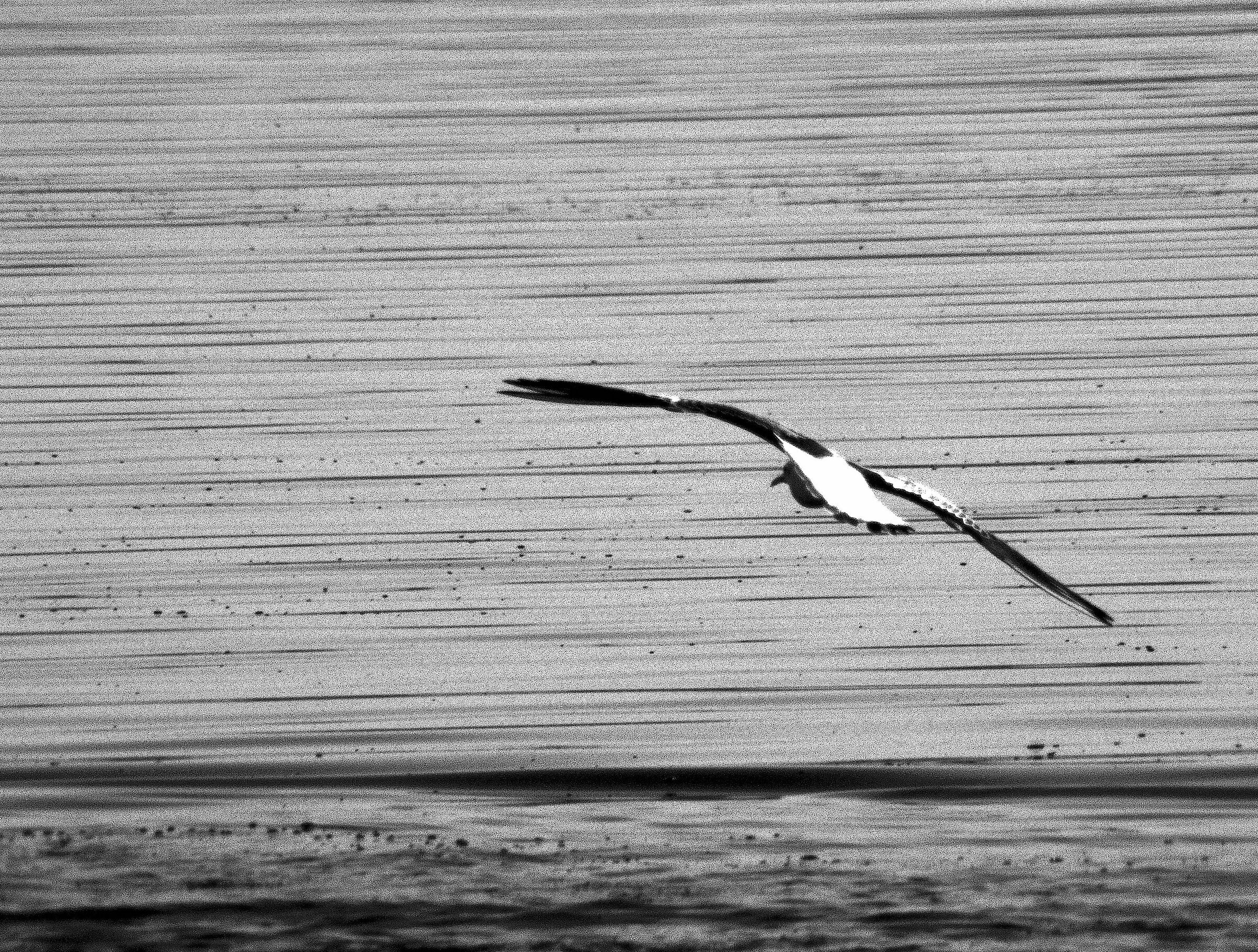 Crosswind, New1000