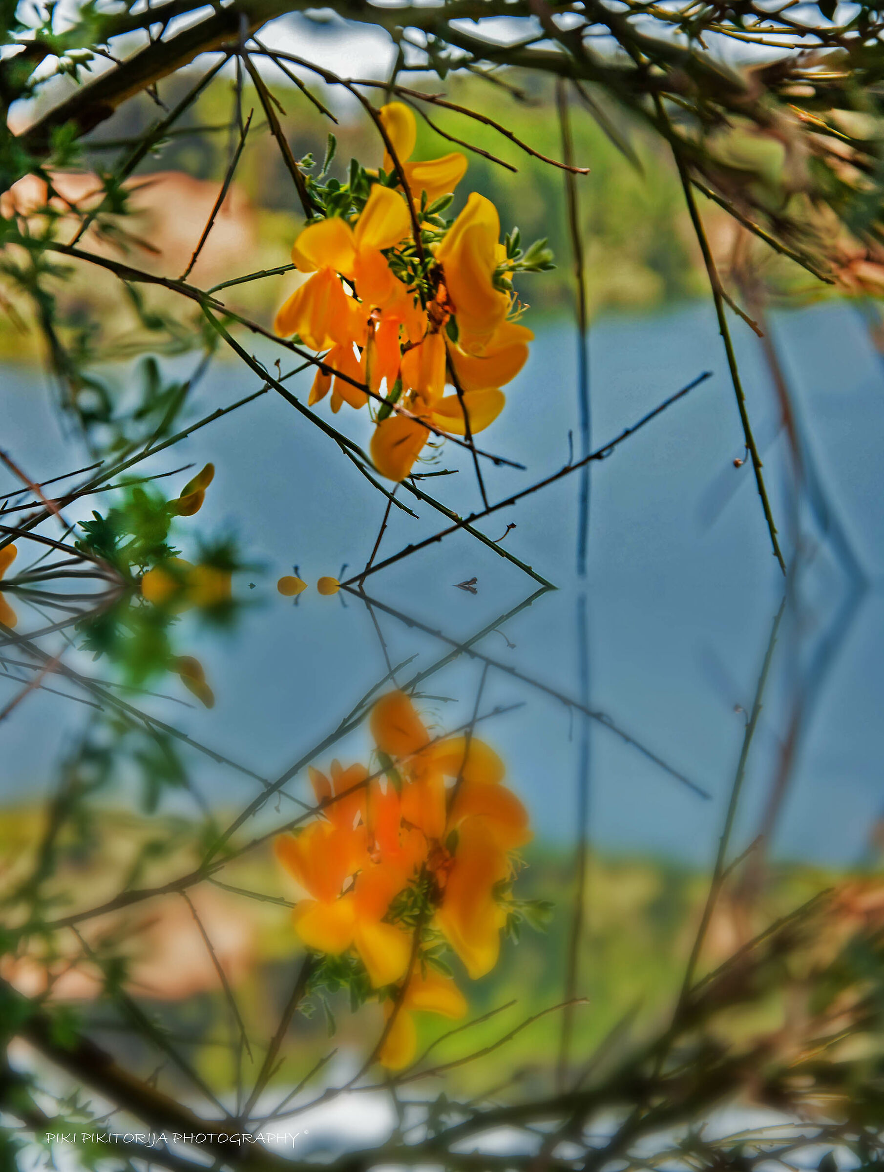 Reflections