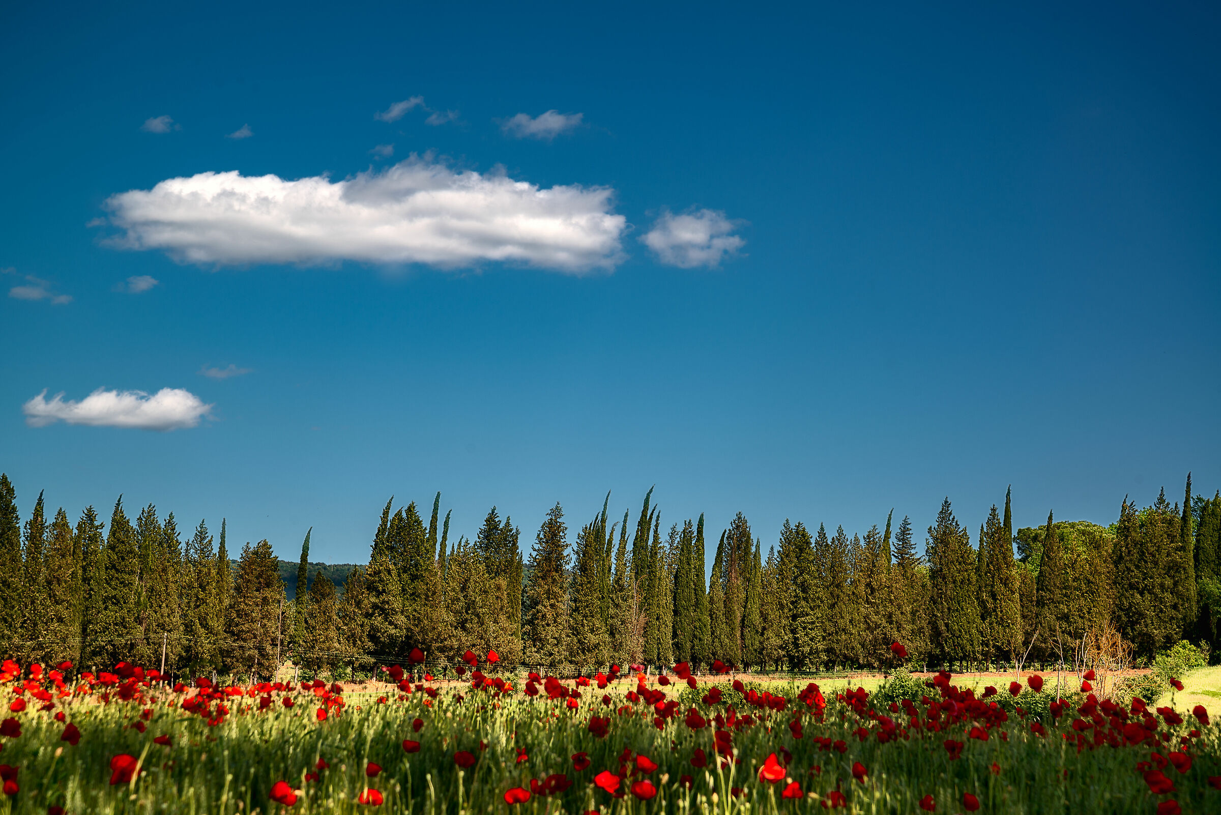 prima uscita post quarantena
