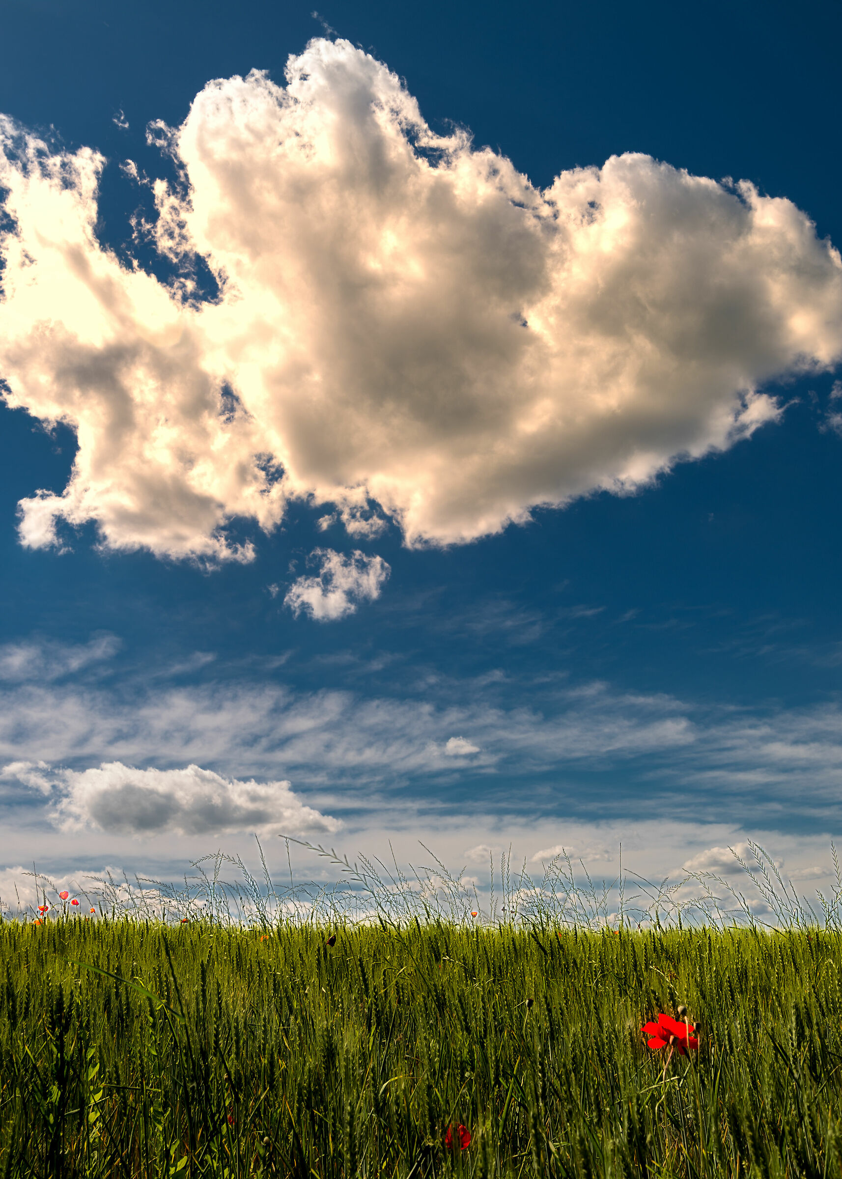 prima uscita post quarantena 2
