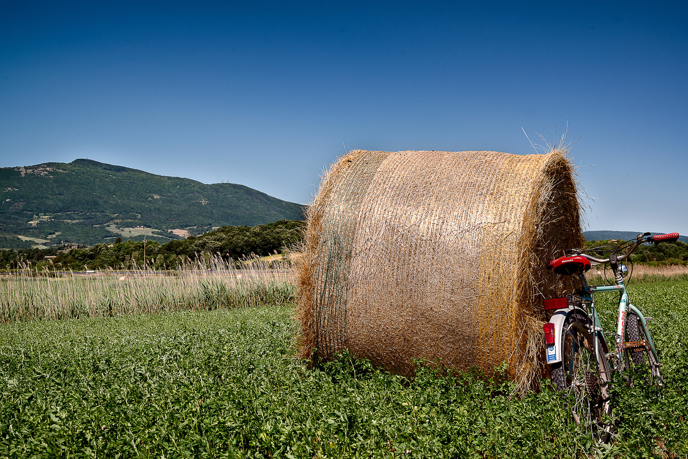 prima uscita post quarantena 3