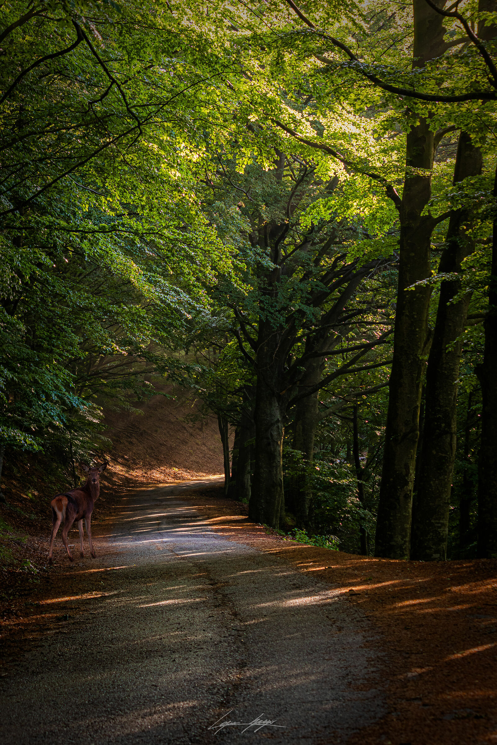 a silence worth a thousand words