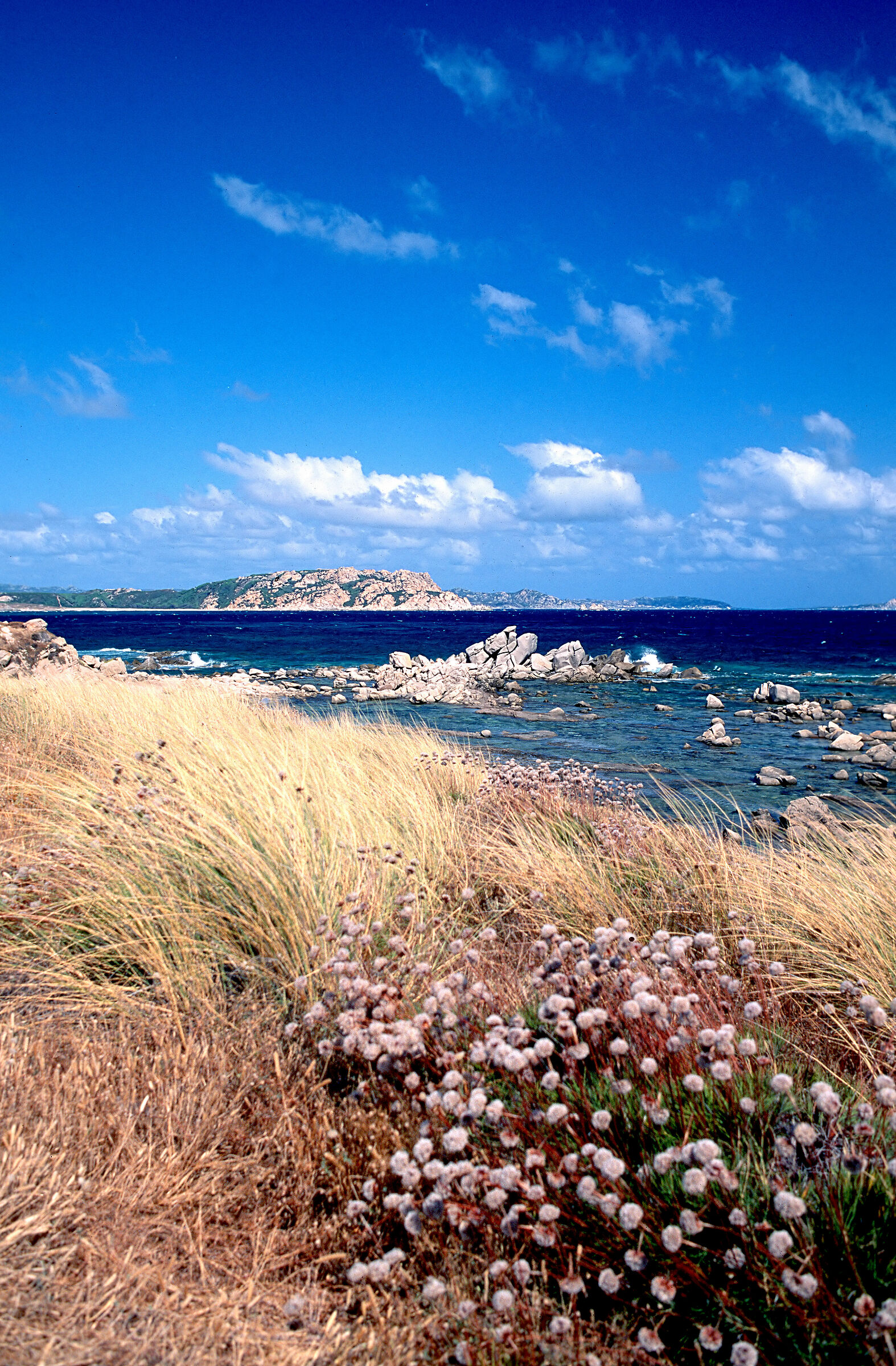 Perfumes of Sardinia