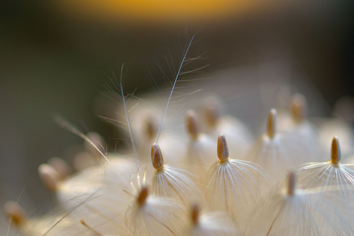Untitled Photo